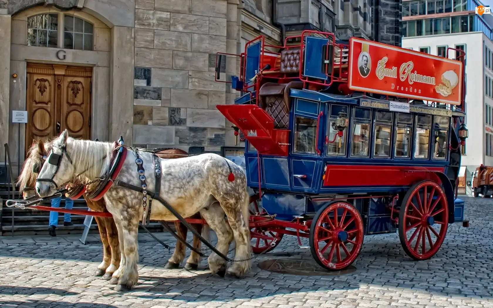 Miasta, Konie, Wóz, Rynek