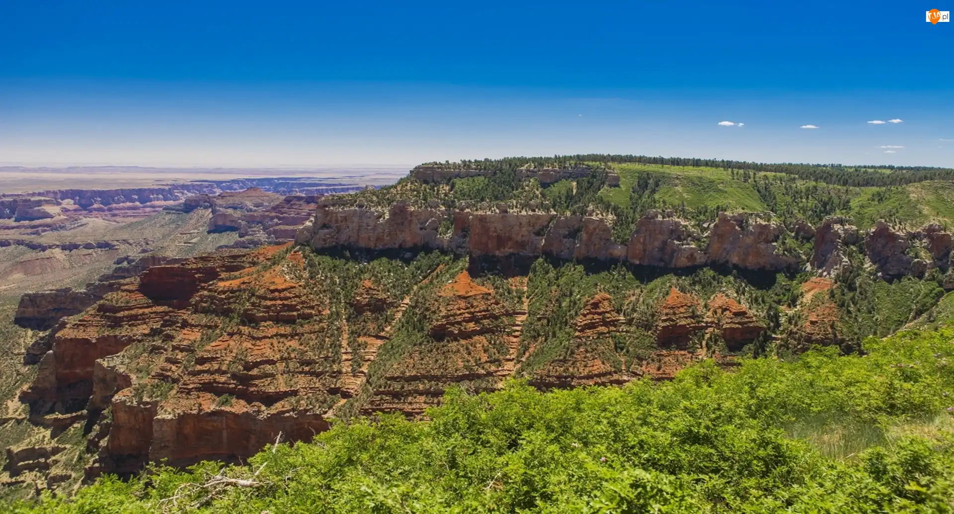 USA, Park, Kanion, Arizona