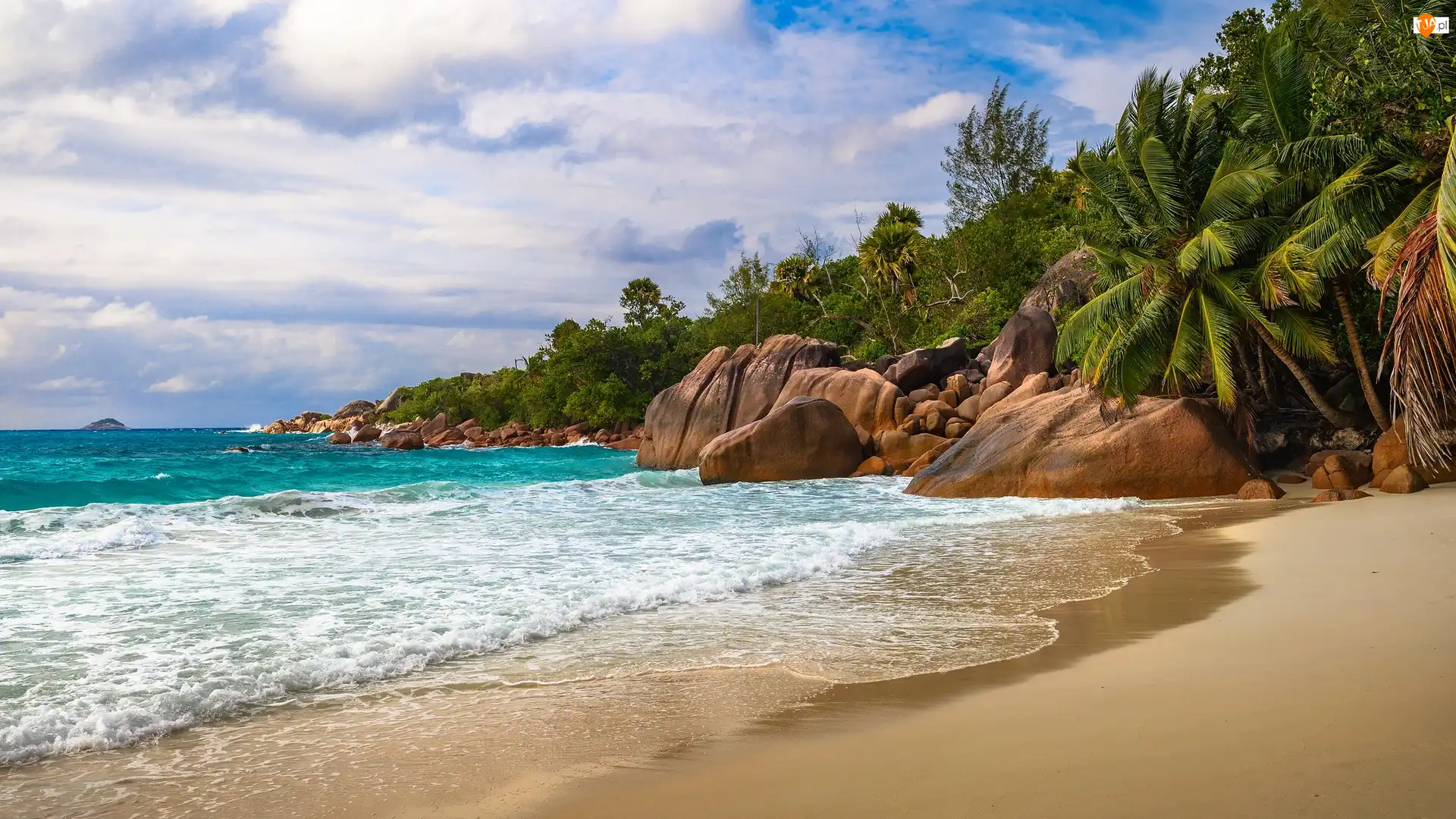 Wyspa Praslin, Morze, Skały, Seszele, Palmy, Anse Lazio, Plaża