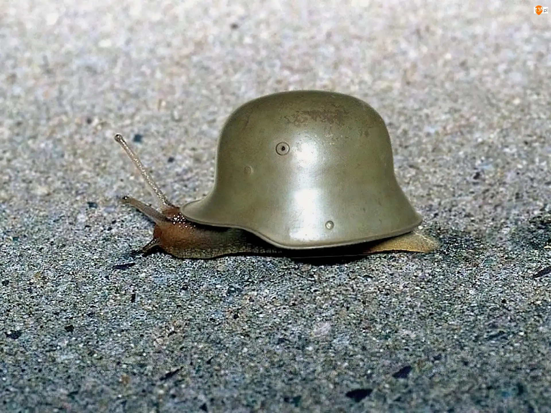 Chełm, Ślimak, Żołnierski