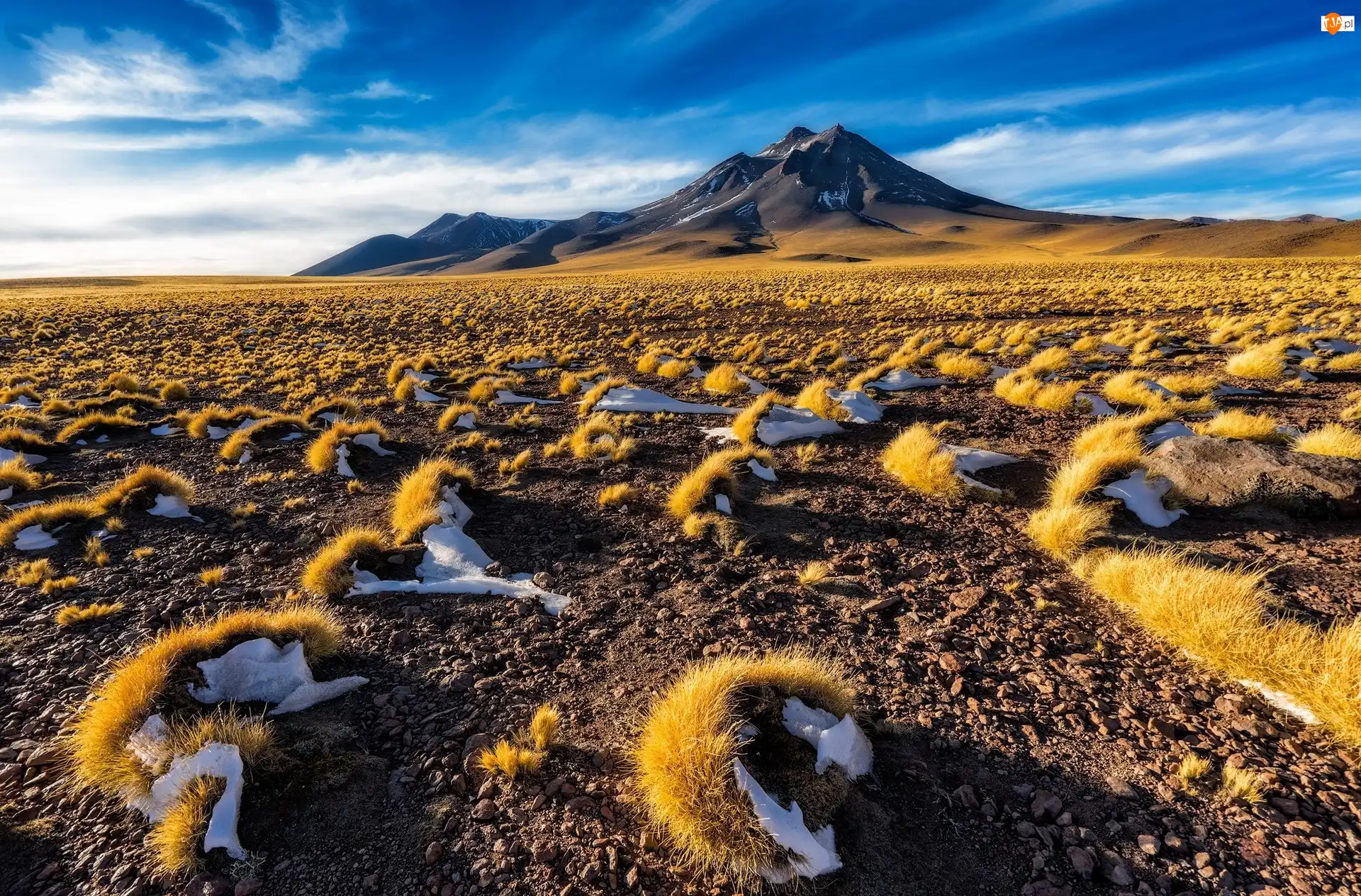 Kępki, Chile, Gmina San Pedro de Atacama, Trawa, Pustynia Atakama, Góra, Kamienie, Region Antofagasta