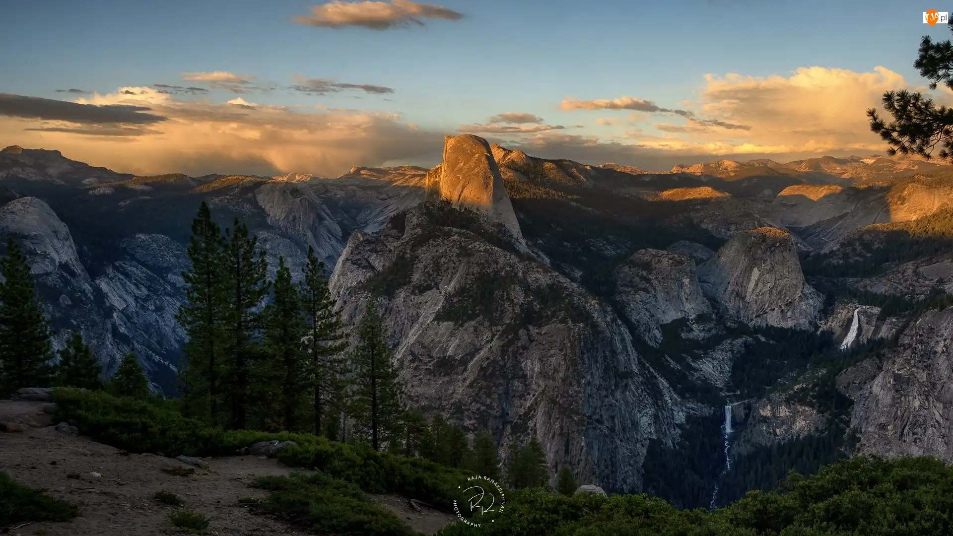 Zachód słońca, Kalifornia, Drzewa, Góry, Half Dome, Park Narodowy Yosemite, Punk widokowy, Stany Zjednoczone, Washburn Point