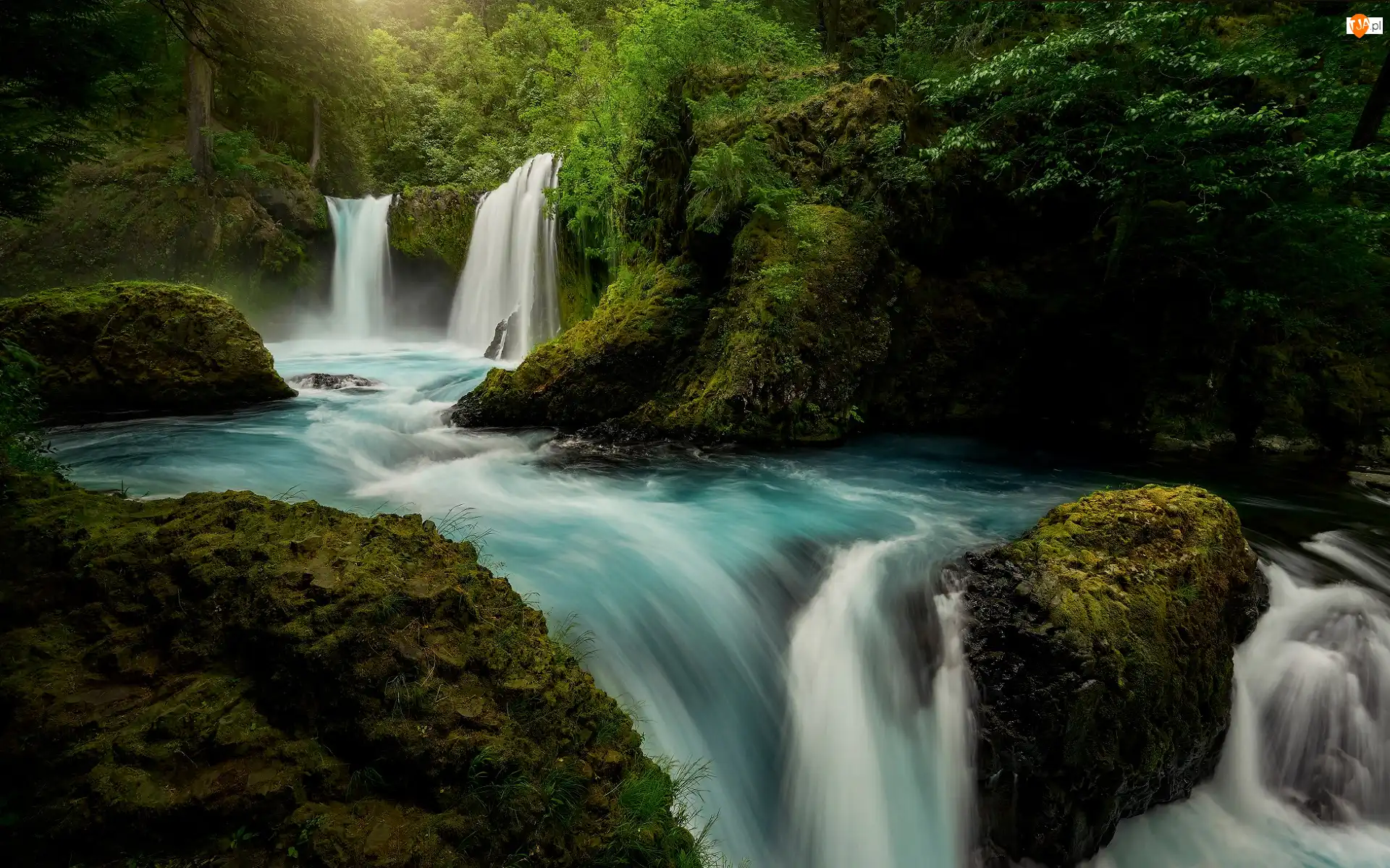 Skały, Stan Waszyngton, Kamienie, Wodospad Spirit Falls, Omszałe, Las Narodowy Gifford Pinchot, Drzewa, Stany Zjednoczone, Rzeka Little White Salmon River