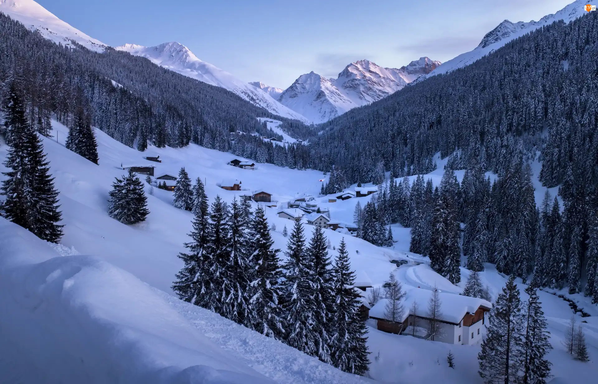 Lasy, Szwajcaria, Miasto Davos, Drzewa, Góry Alpy, Zima, Domy, Kanton Gryzonia
