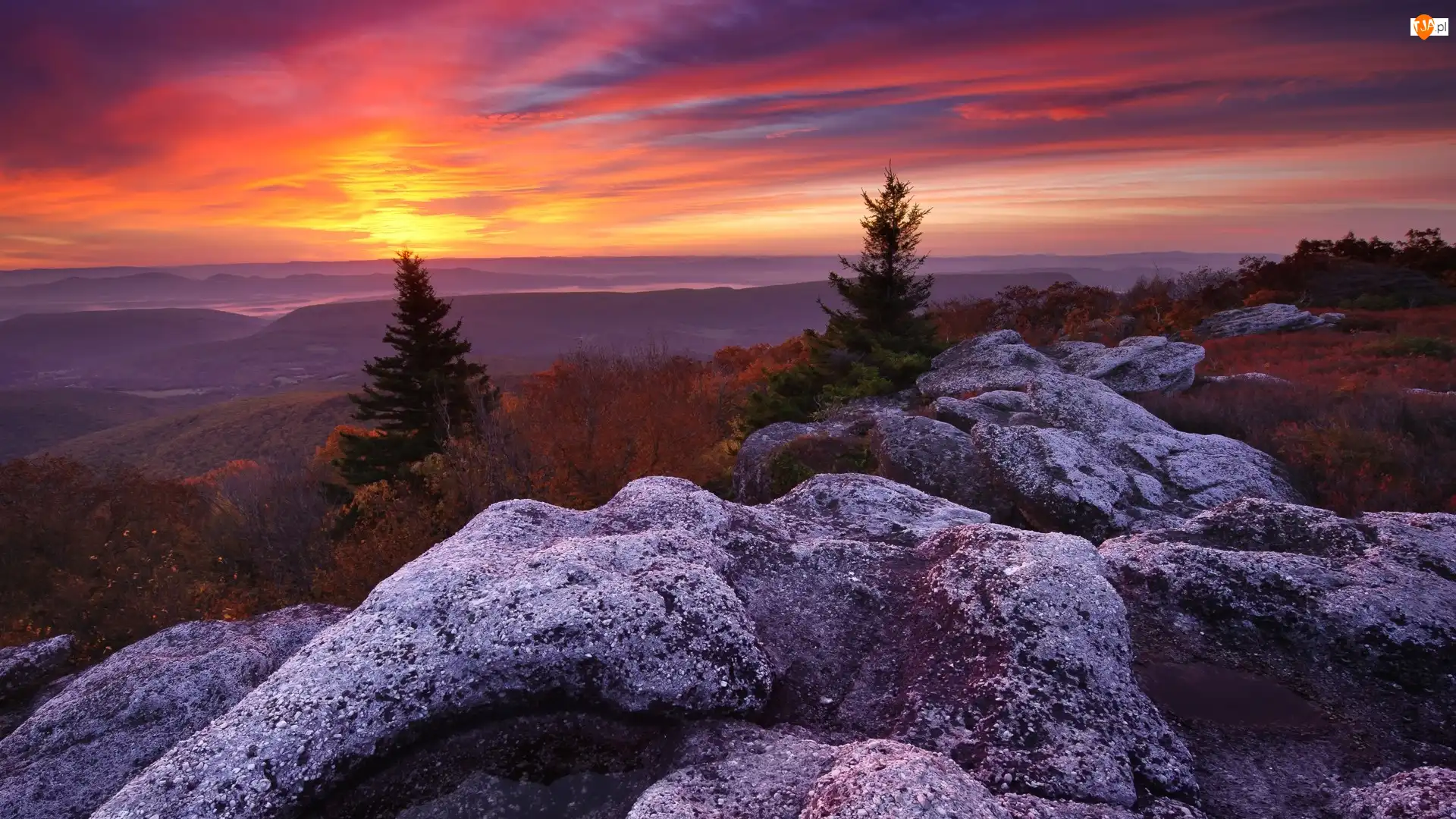 Skały, Stany Zjednoczone, Rezerwat przyrody Bear Rocks, Drzewa, Wirginia Zachodnia, Góry, Zachód słońca, Odbszar Dolly Sods Wilderness