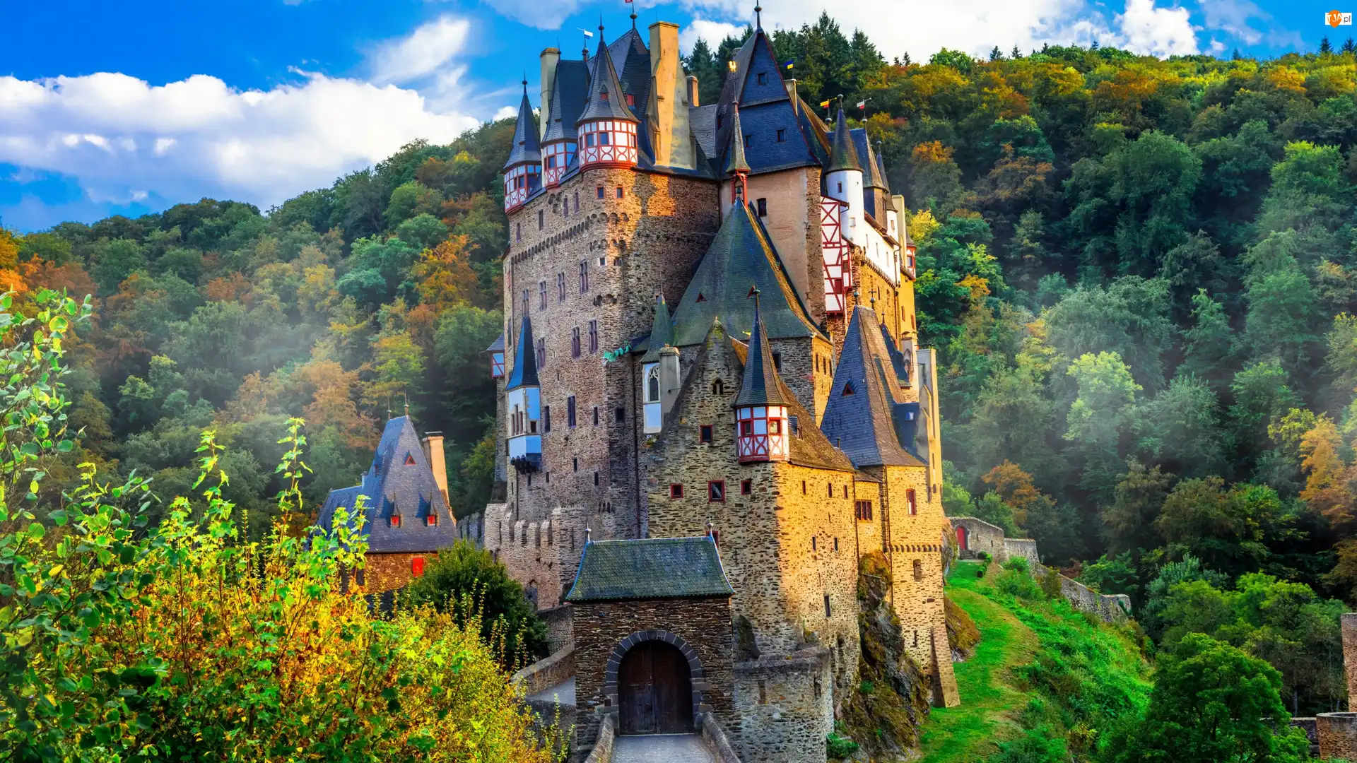 Niemcy, Lasy, Nadrenia Palatynat, Jesień, Rejon Eifel, Wzgórze, Drzewa, Zamek Eltz, Mgła