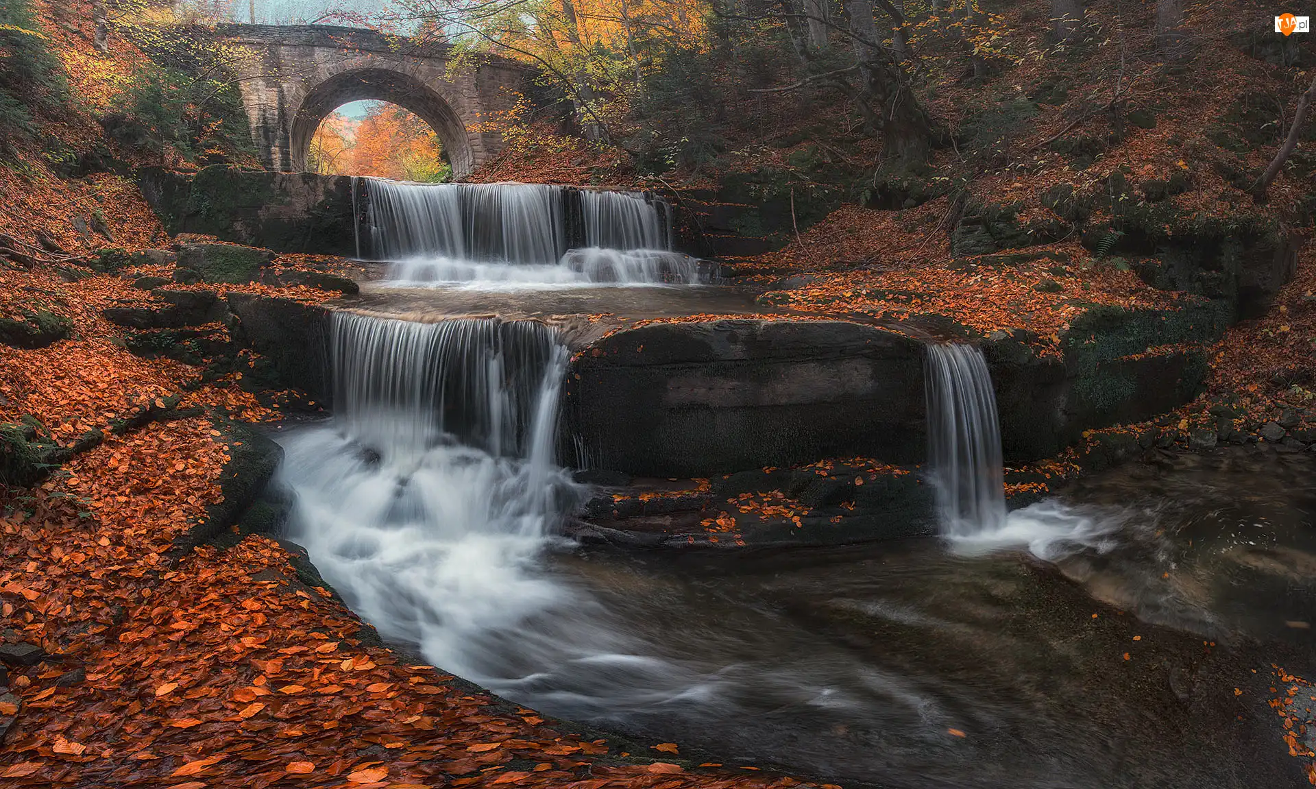 Wodospad, Kamienny, Liście, Most, Rzeka, Miejscowość Sitowo, Sitovski Waterfall, Las, Jesień, Kaskada, Bułgaria