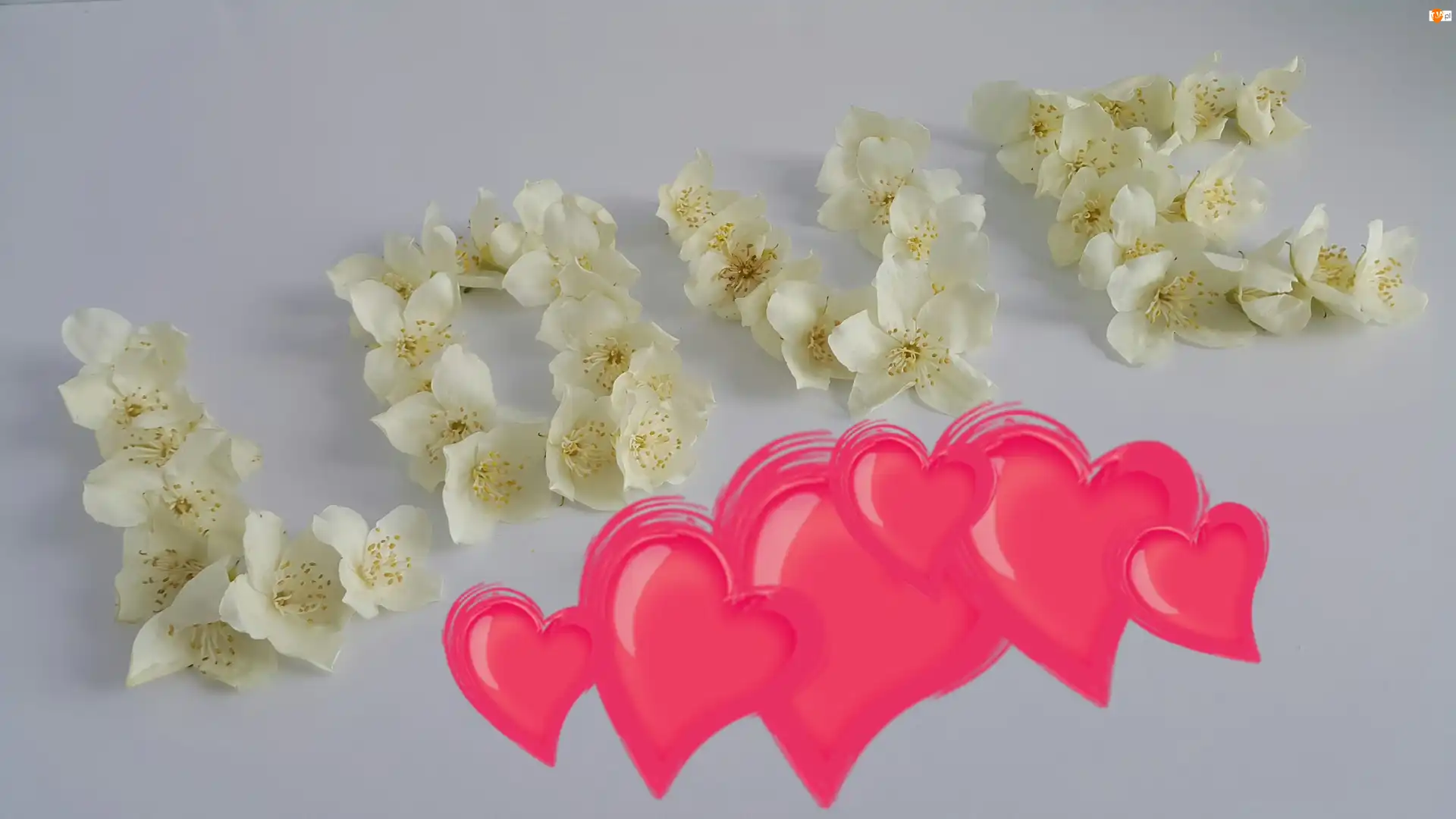 Serca, Kwiaty, Love