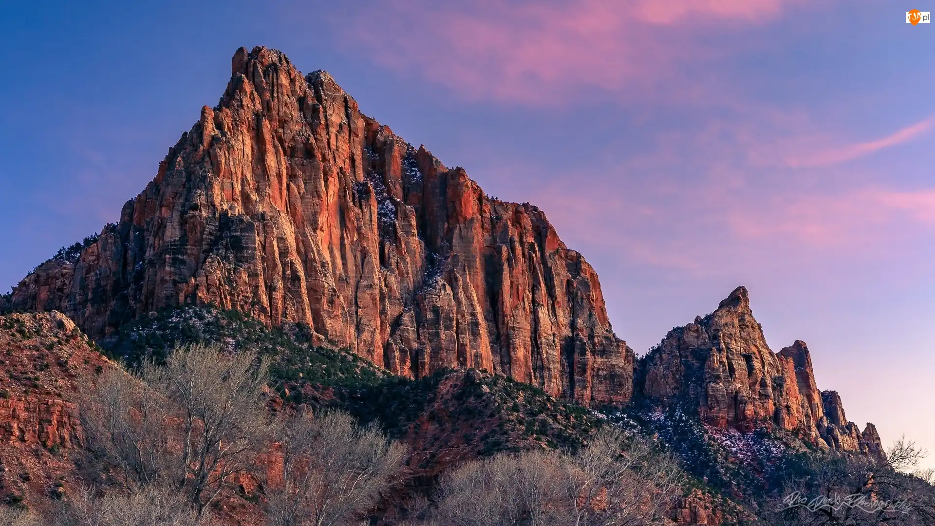 Góra Watchman, Skały, Stany Zjednoczone, Góry, Stan Utah, Park Narodowy Zion, Krzewy