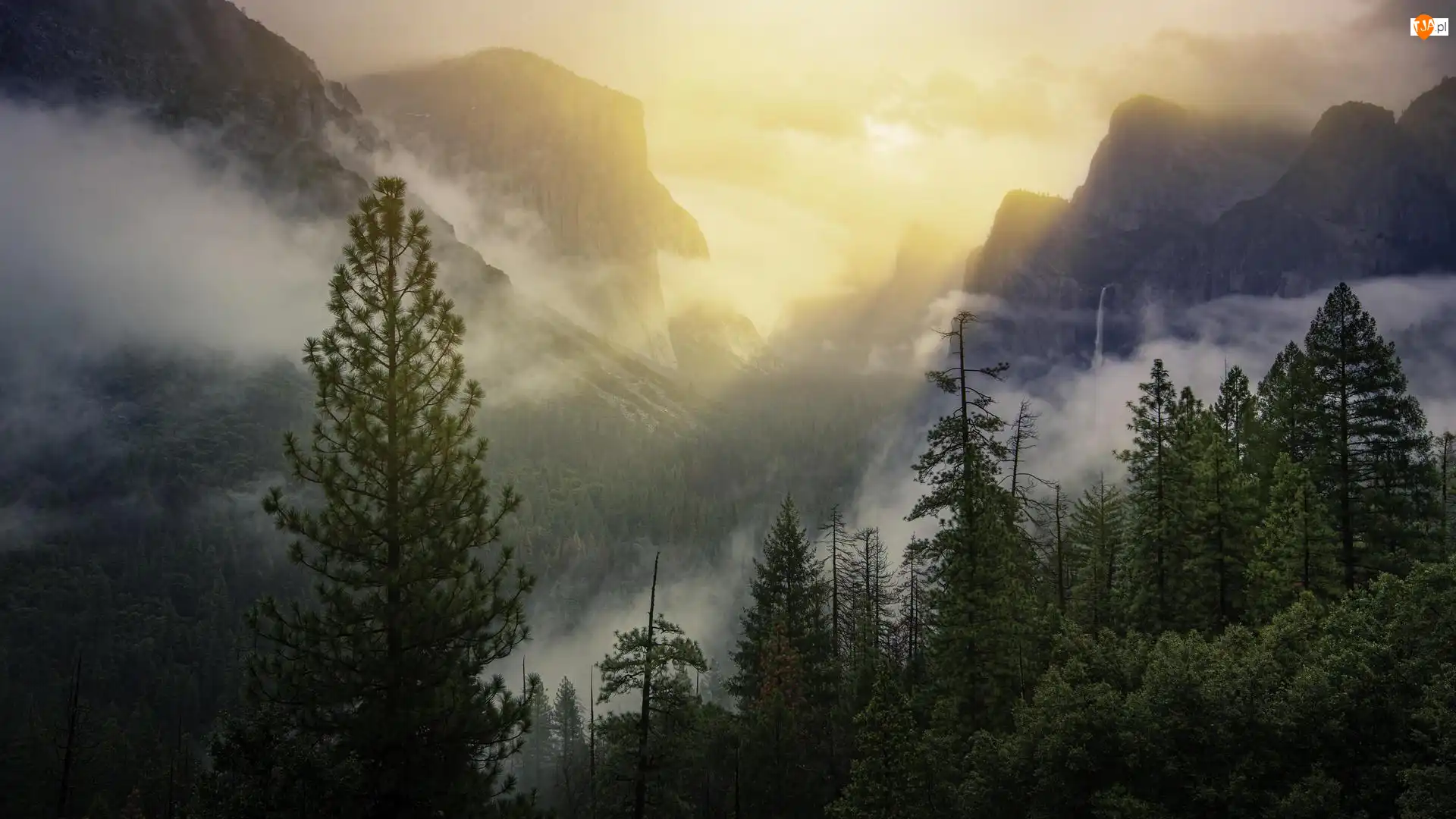 Stany Zjednoczone, Yosemite Valley, Stan Kalifornia, Drzewa, Lasy, Park Narodowy Yosemite, Mgła, Dolina, Góry