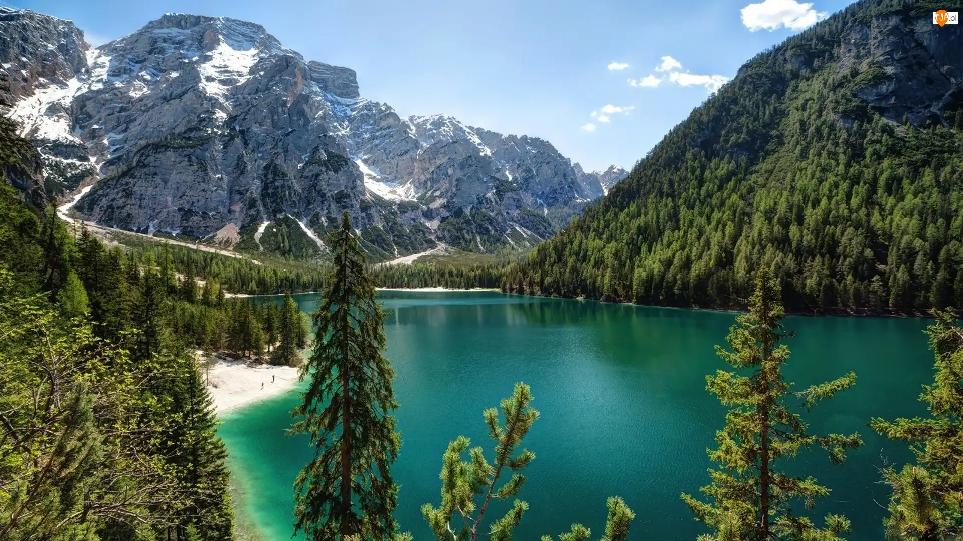 Tyrol Południowy, Drzewa, Góry Dolomity, Jezioro Pragser Wildsee, Włochy