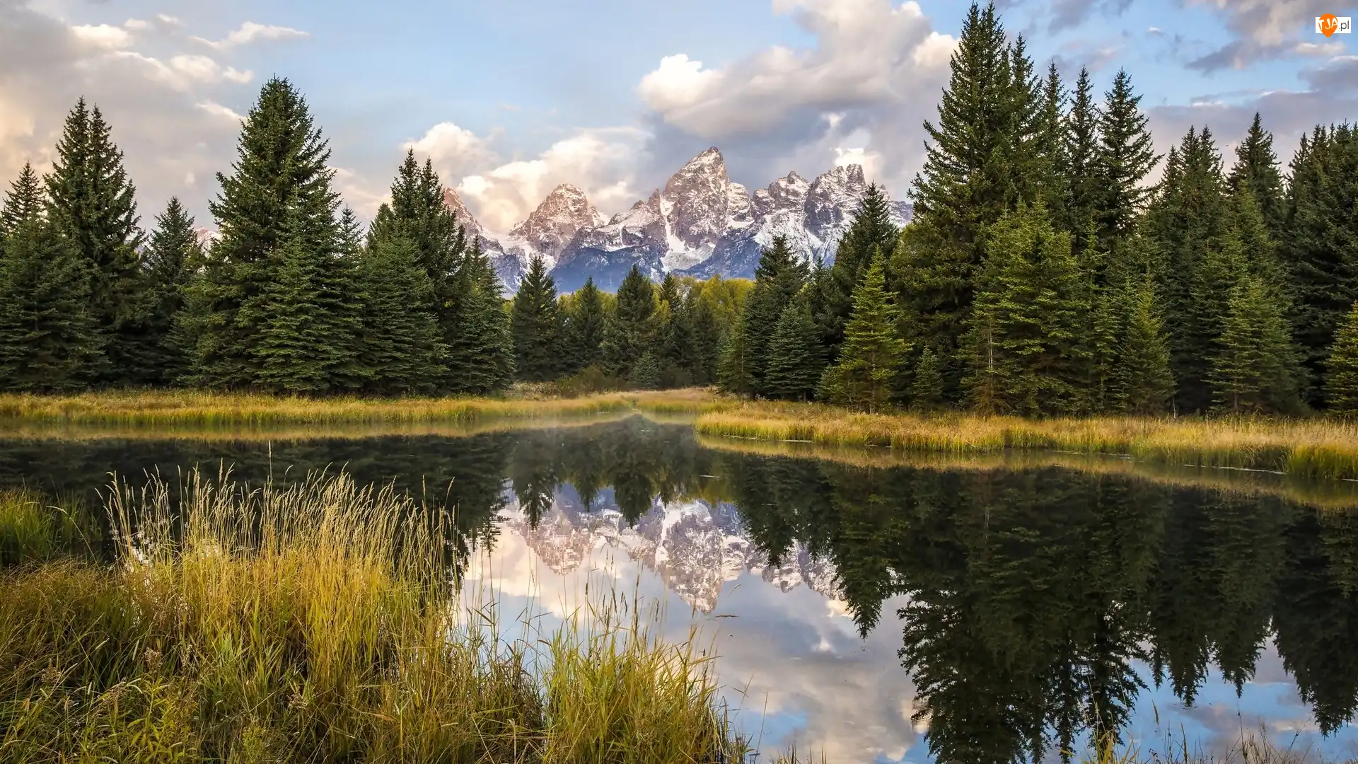 Drzewa, Stany Zjednoczone, Rzeka Snake River, Trawy, Stan Wyoming, Góry Teton Range, Odbicie, Park Narodowy Grand Teton