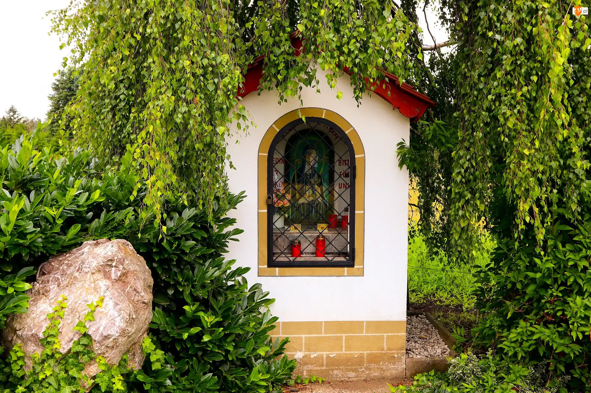 Gałęzie, Kapliczka, Drzewa