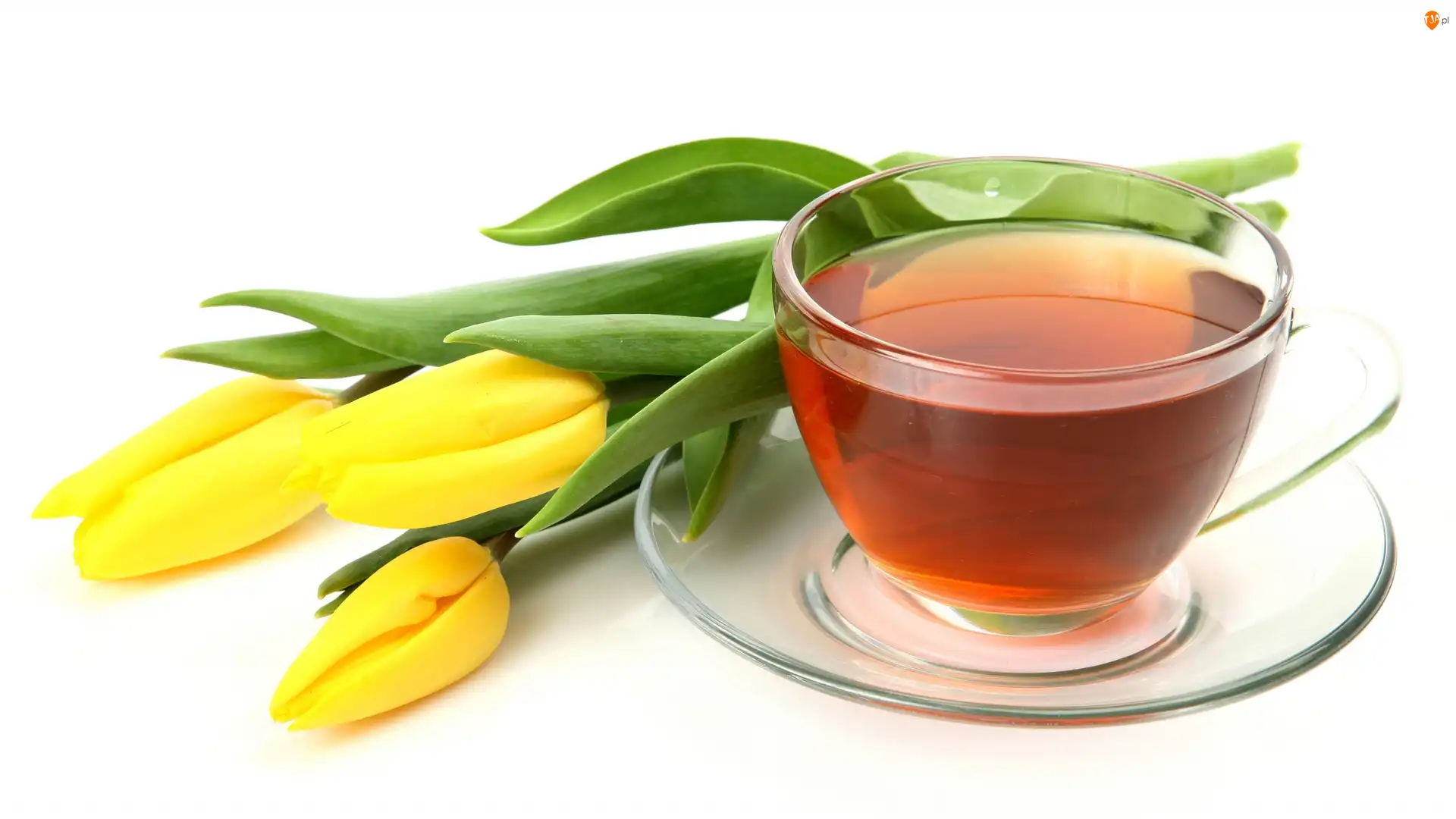 Herbatka, Żółte, Tulipany