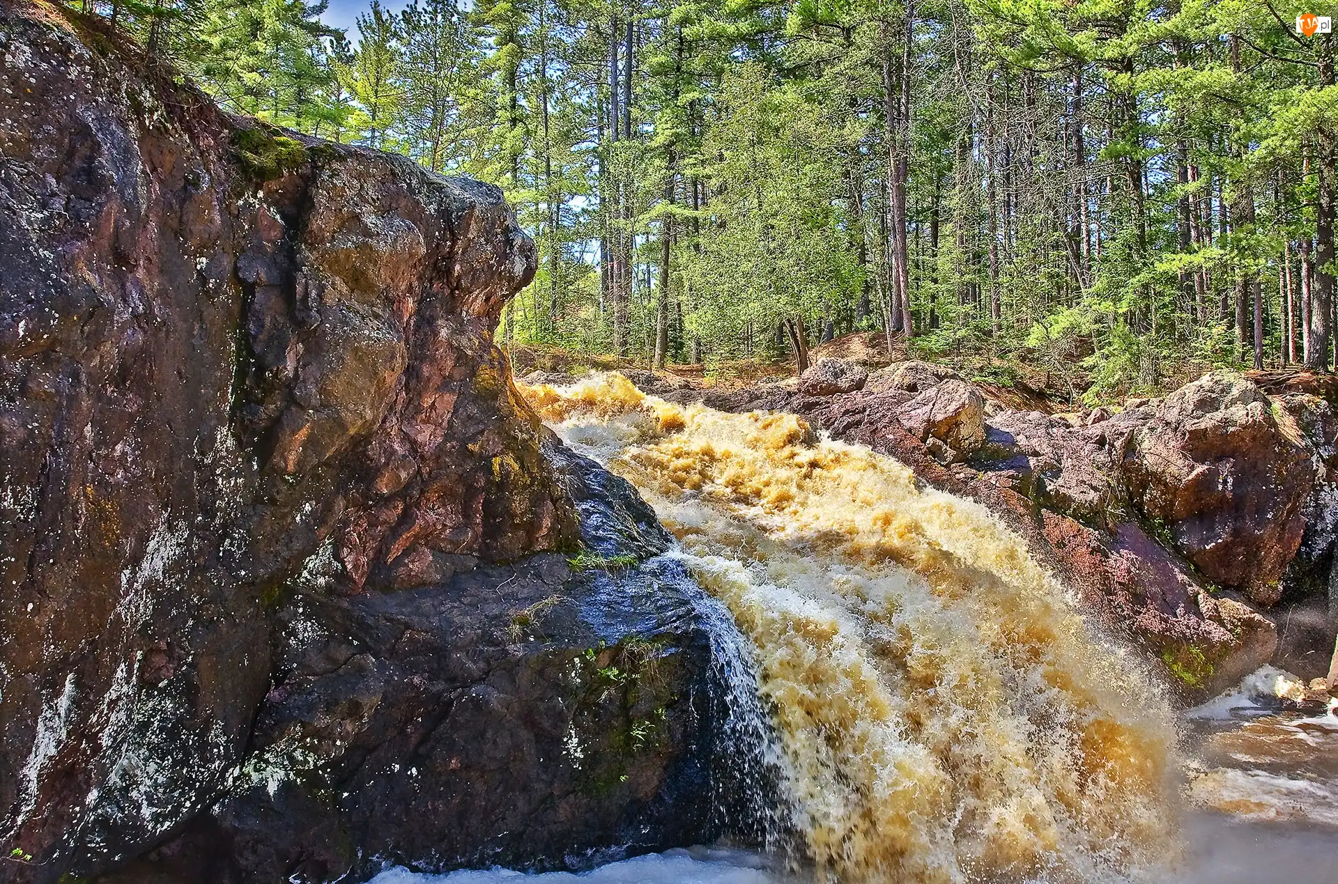 Wodospad, Las, Skały, Rzeka