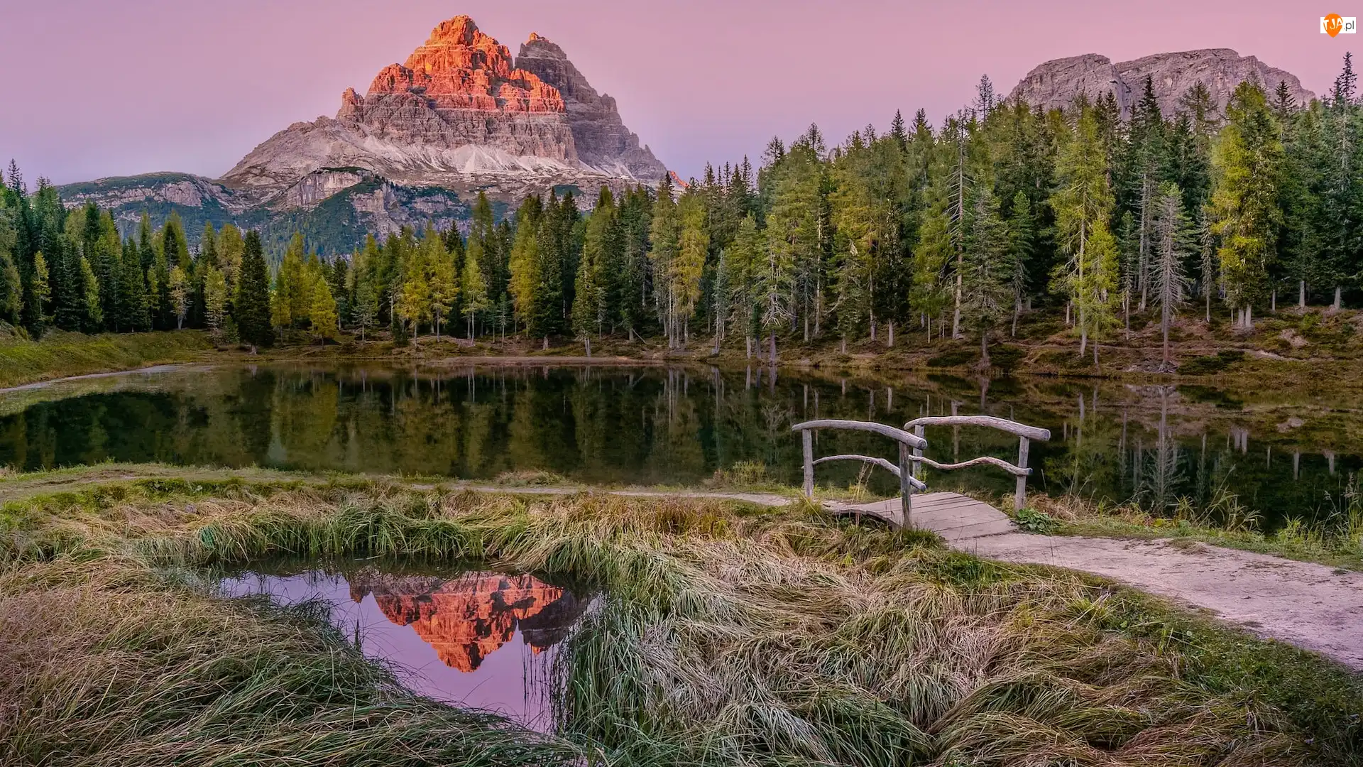 Góry, Masyw, Trawa, Tre Cime di Lavaredo, Antorno Lake, Prowincja Belluno, Dolomity, Jezioro, Drzewa, Mostek, Włochy