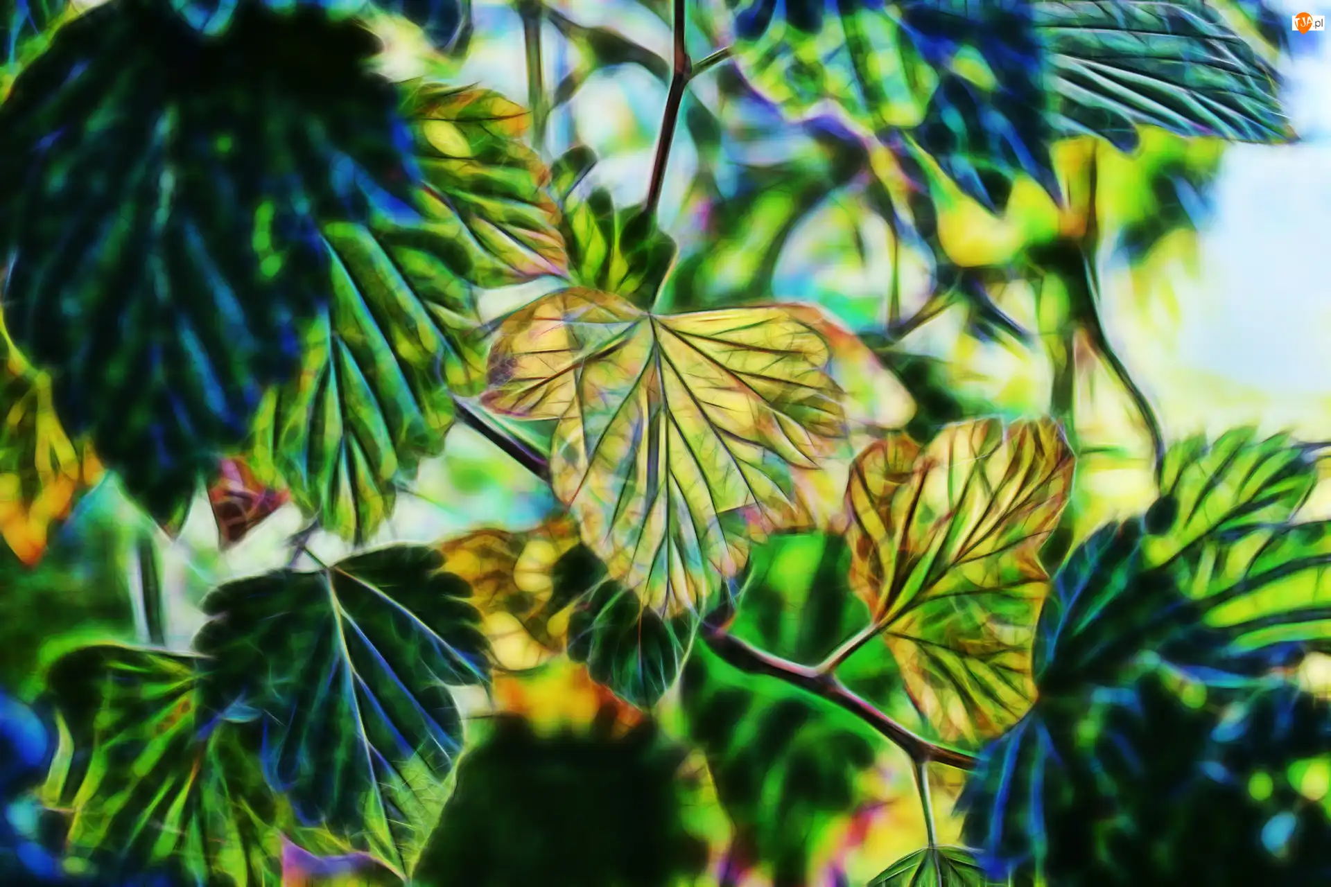 Fractalius, Zielone, Żółte, Liście