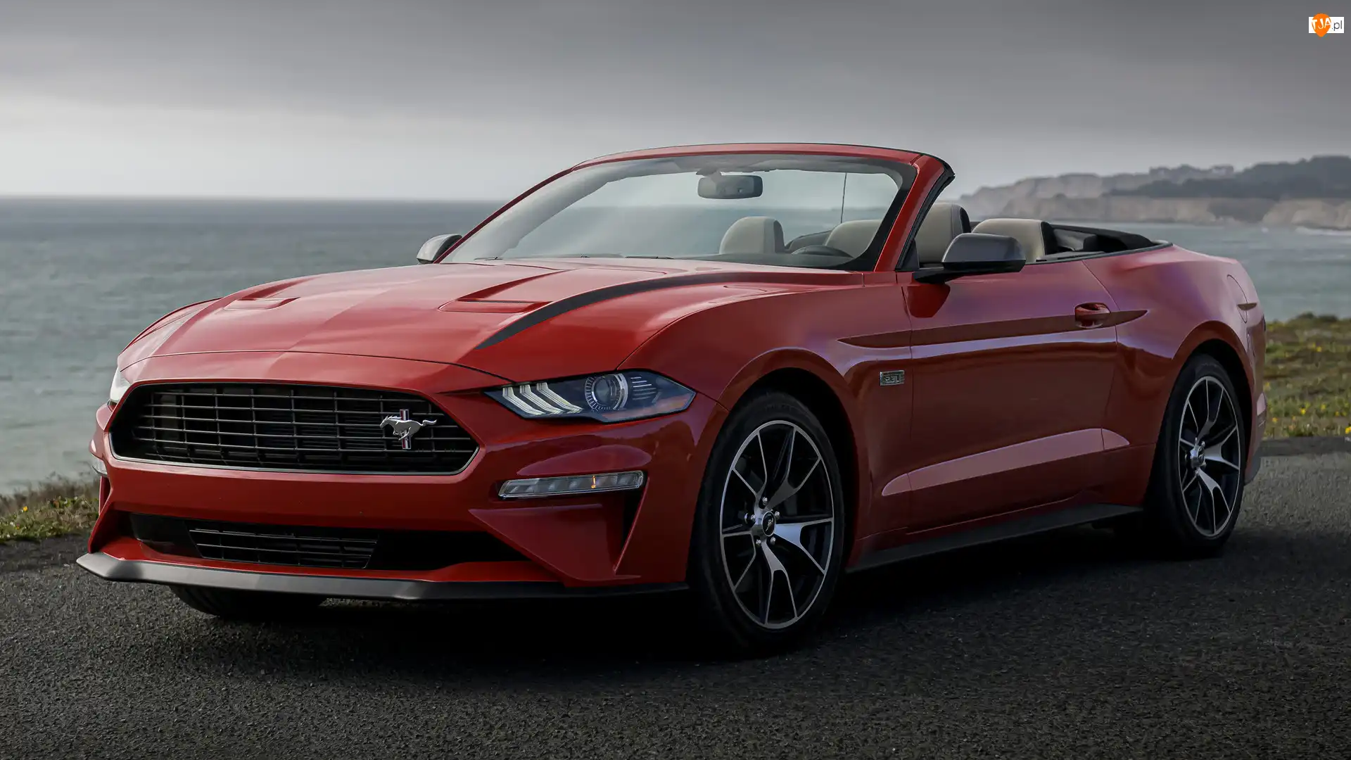 Ford Mustang Convertible