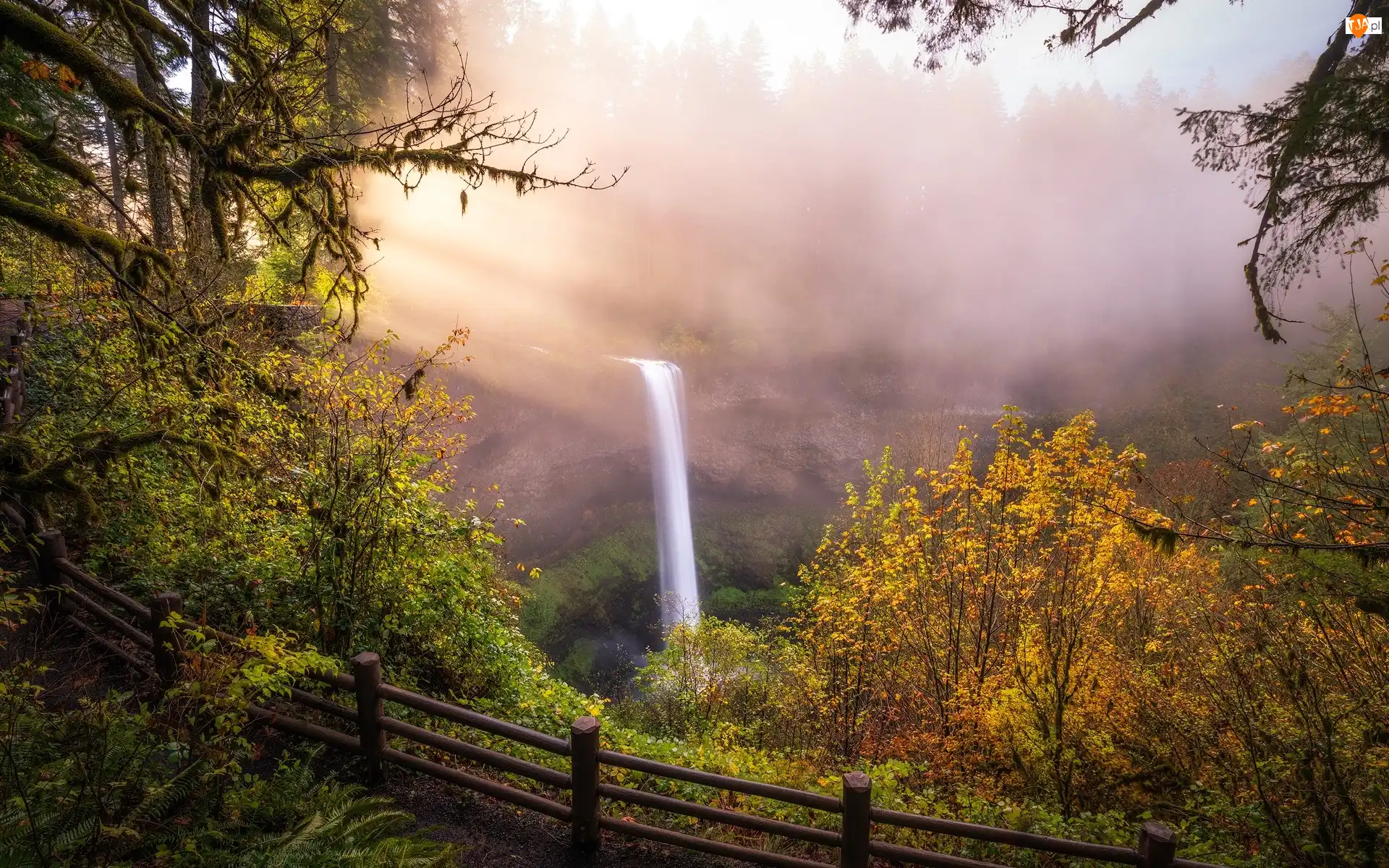 Stany Zjednoczone, South Falls, Stan Oregon, Trawa, Park stanowy Silver Falls, Jesień, Skały, Wodospad, Drzewa