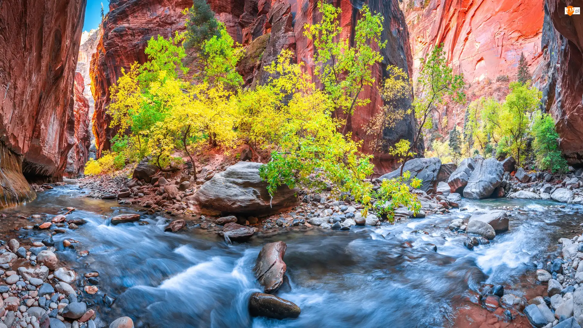 Kamienie, Stany Zjednoczone, Kanion Zion Narrows, Rzeka Virgin River, Stan Utah, Skały, Roślinność, Park Narodowy Zion