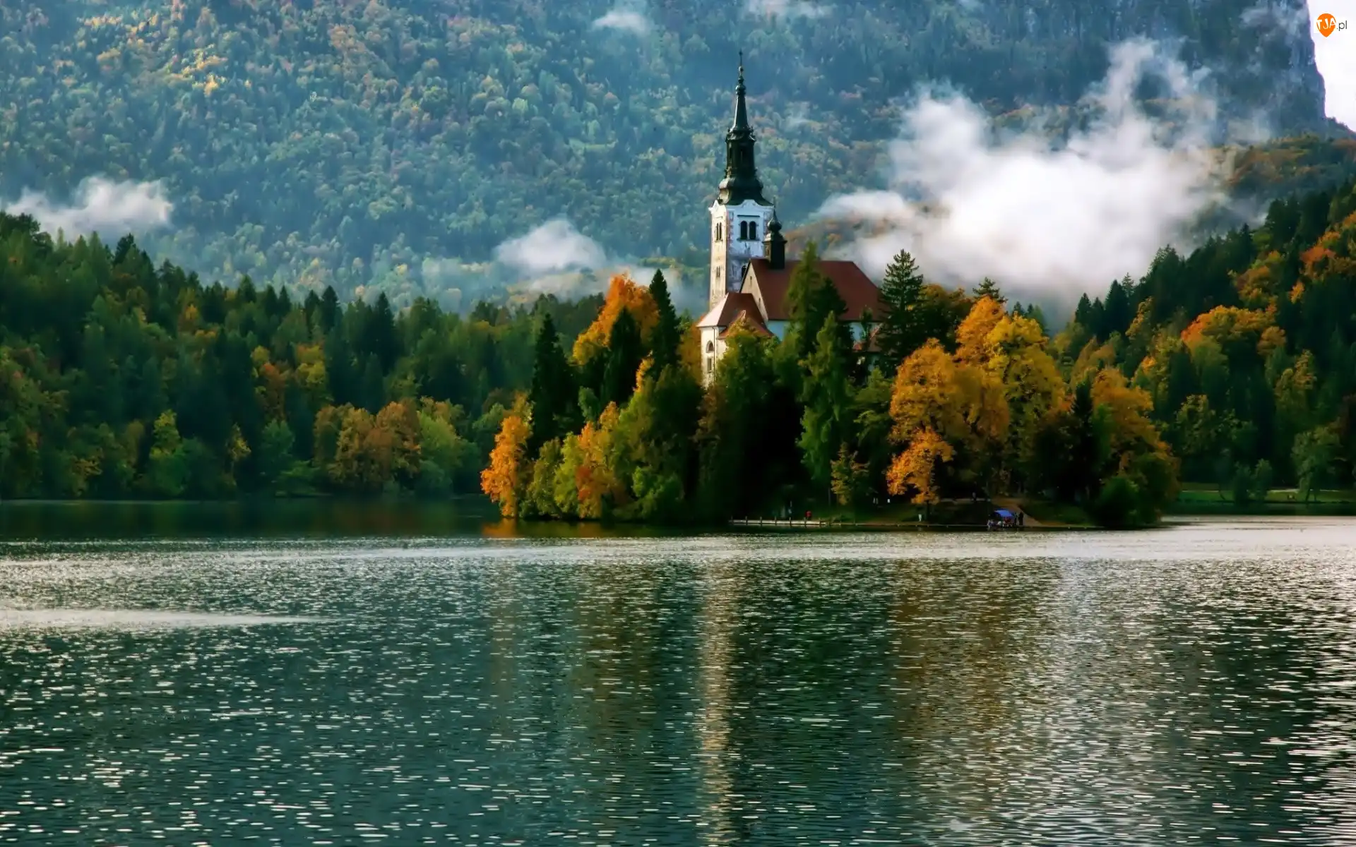 Bled, Las, Słowenia, Jezioro, Jesień, Kościół, Mgła