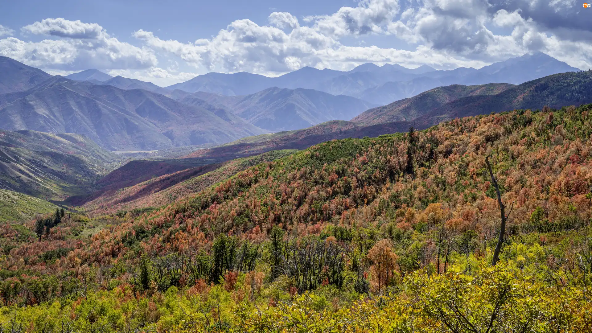 Stany Zjednoczone, Krzewy, Wzgórza, Rośliny, Góry Wasatch, Jesień, Chmury, Niebo, Kolorowe, Stan Utah