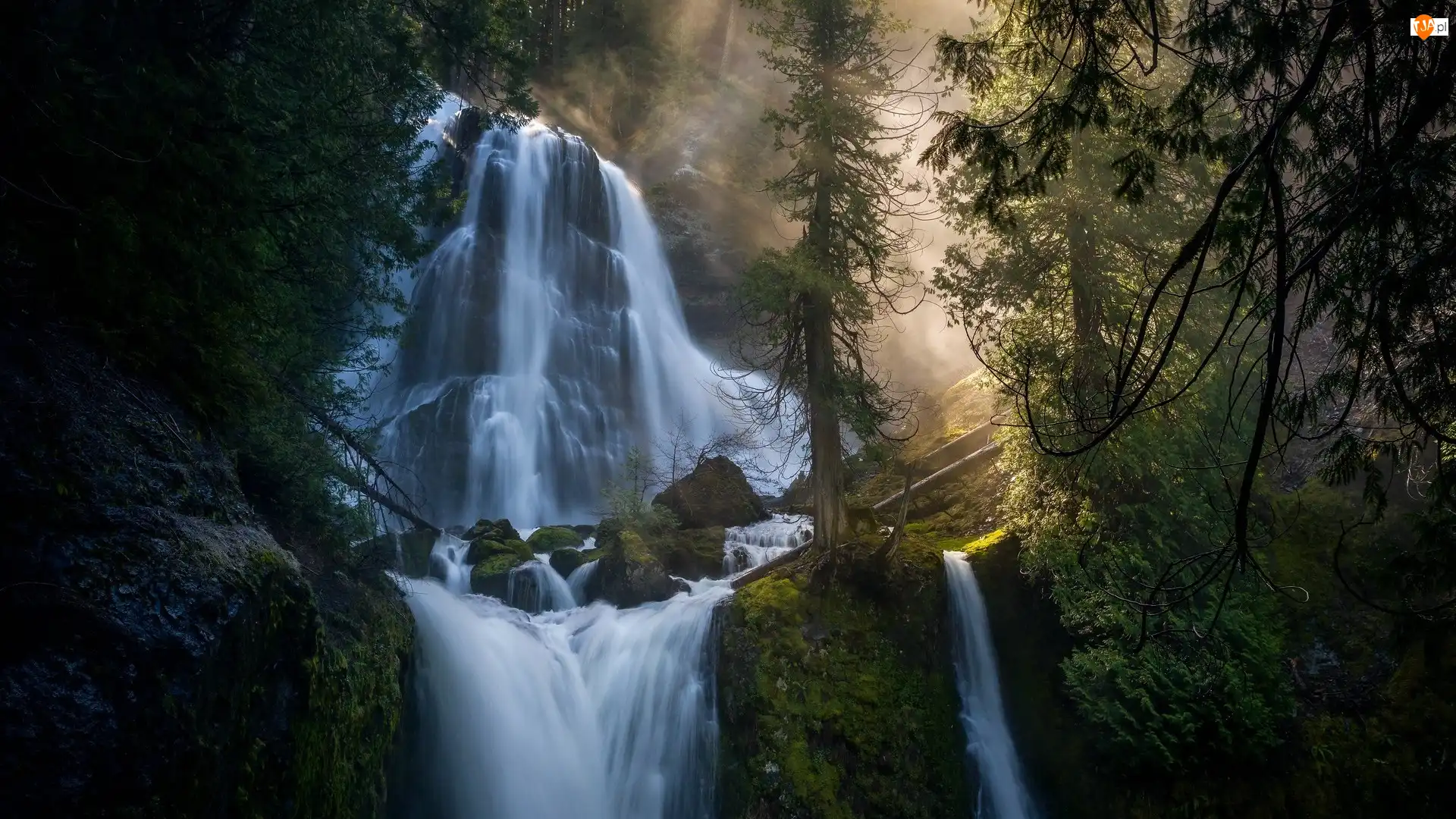 Wodospad, Falls Creek Falls, Stany Zjednoczone, Skały, Stan Waszyngton, Przebijające światło, Drzewa