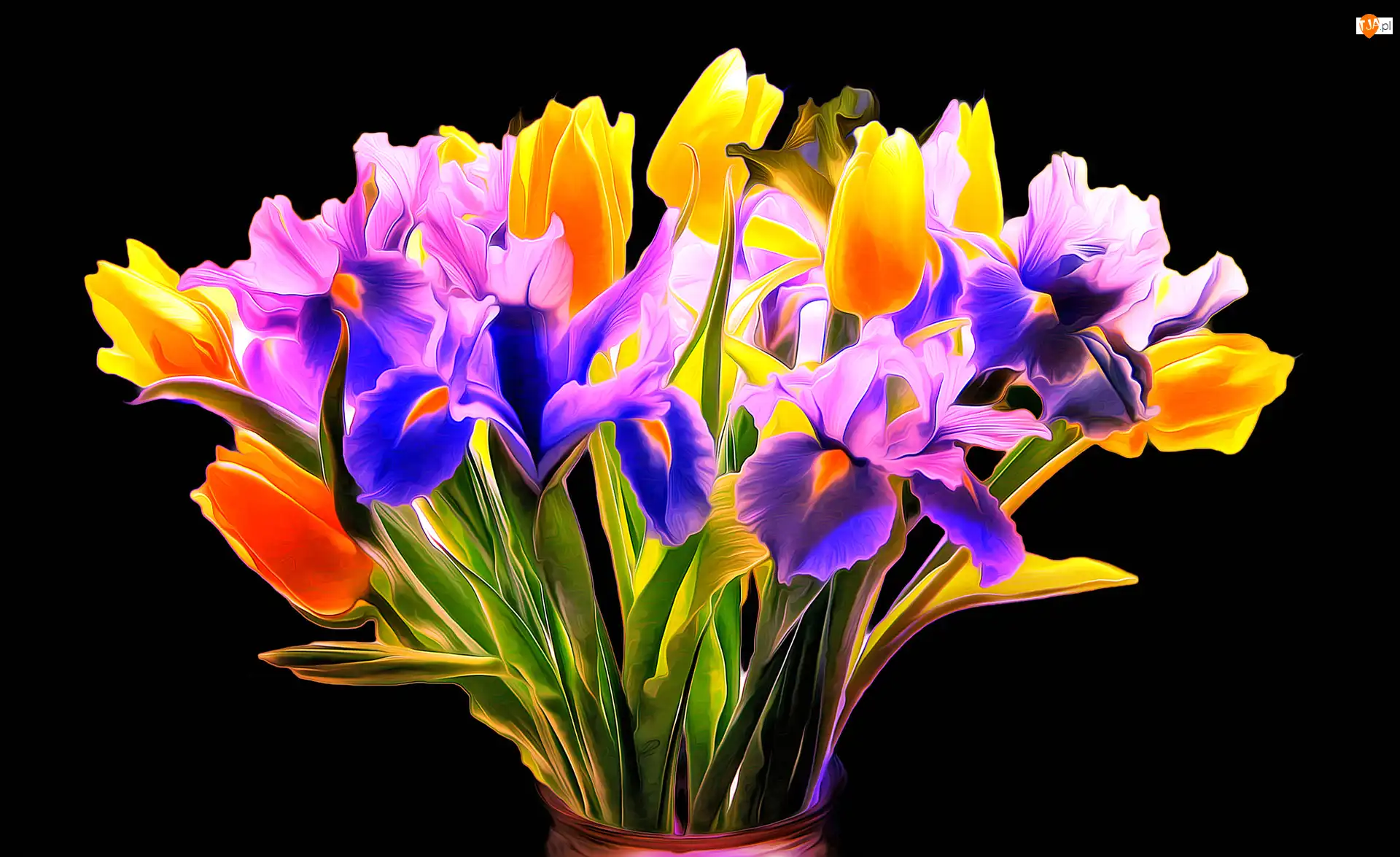 Tulipany, Czarne tło, Fractalius, Bukiet kwiatów, Irysy