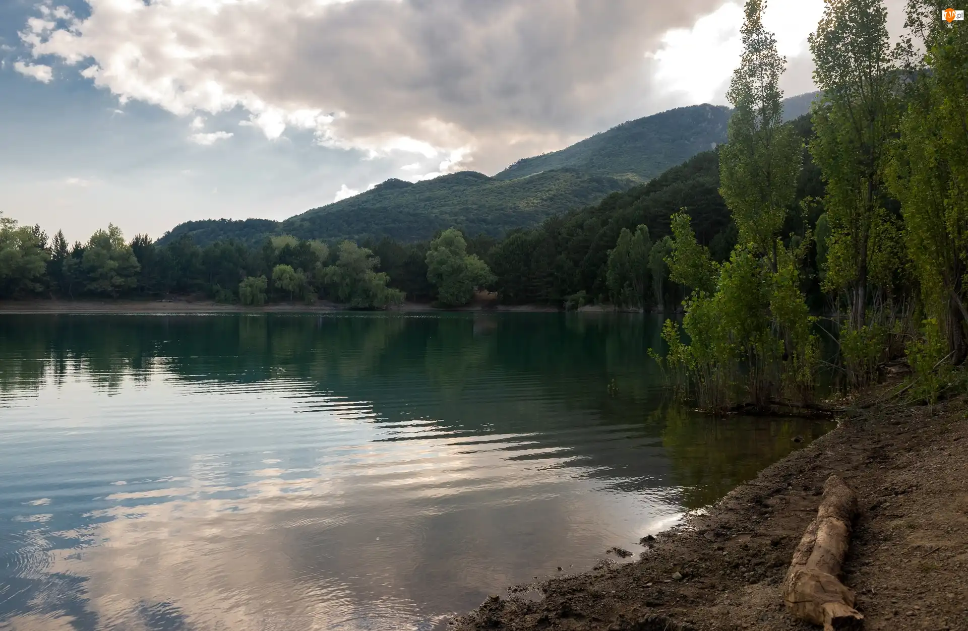 Drzewa, Jezioro, Zalesione, Góry
