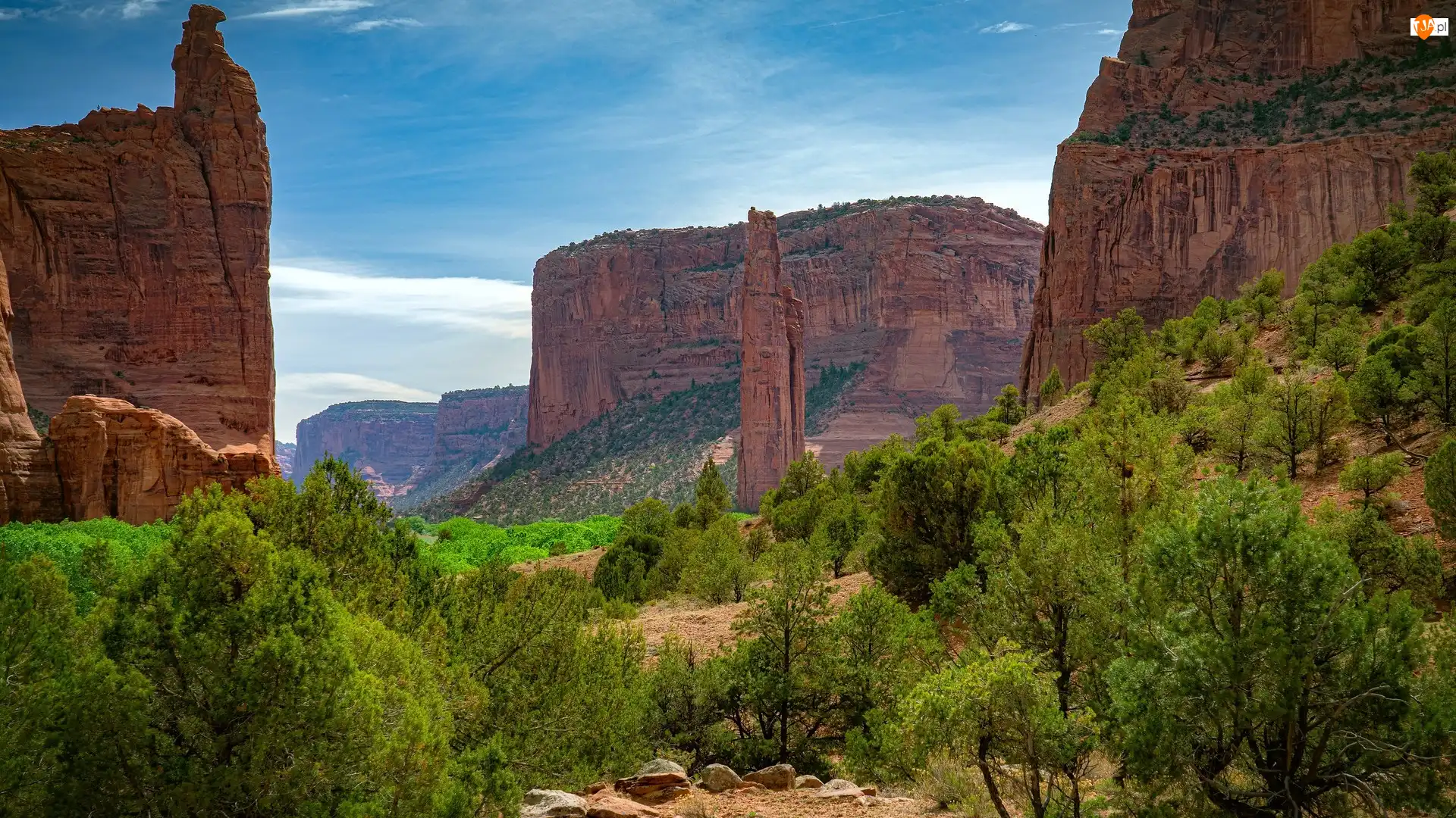 Stan Utah, Stany Zjednoczone, Kanion Zion Narrows, Drzewa, Park Narodowy Zion, Skały
