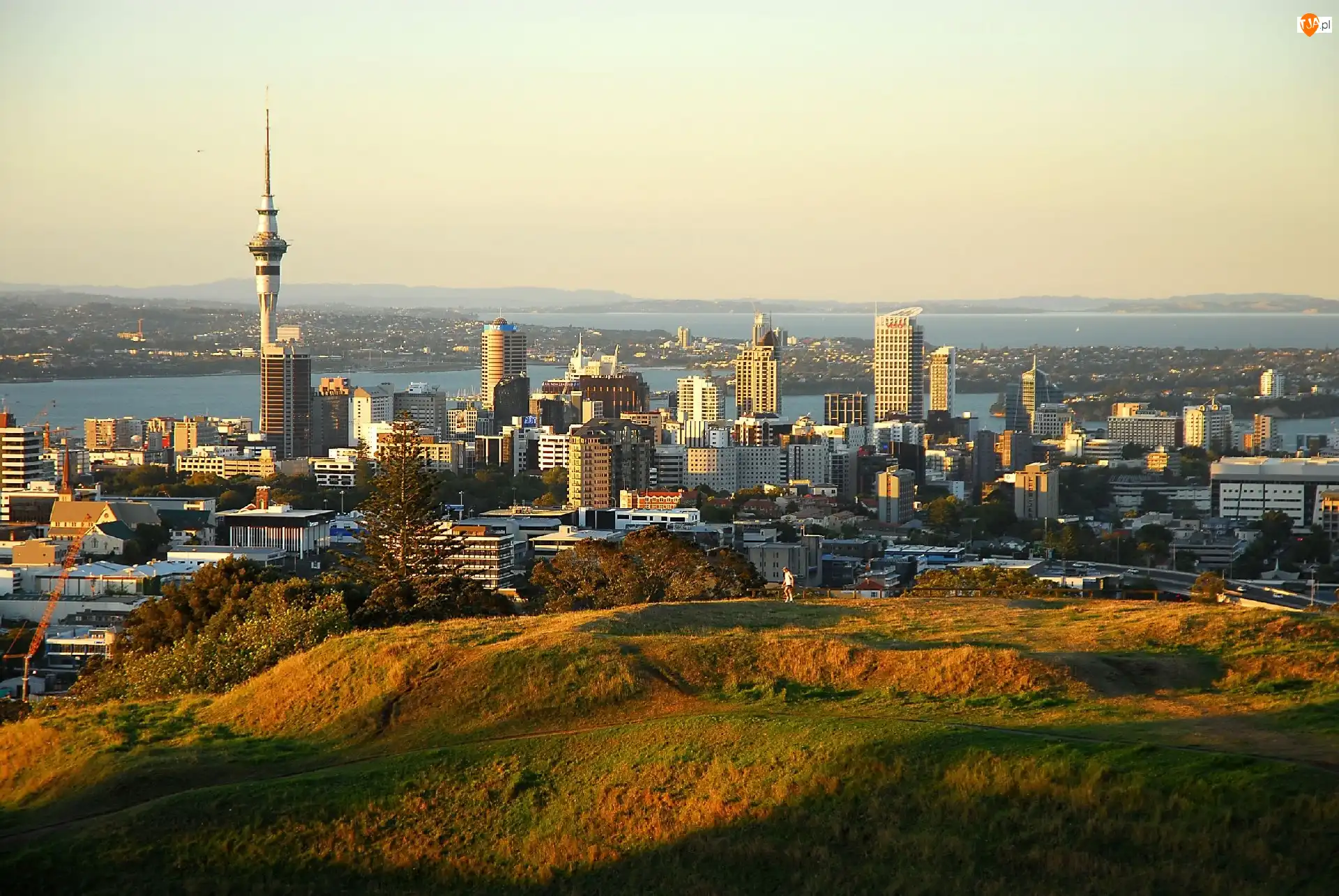 Panorama, Auckland, Nowa Zelandia