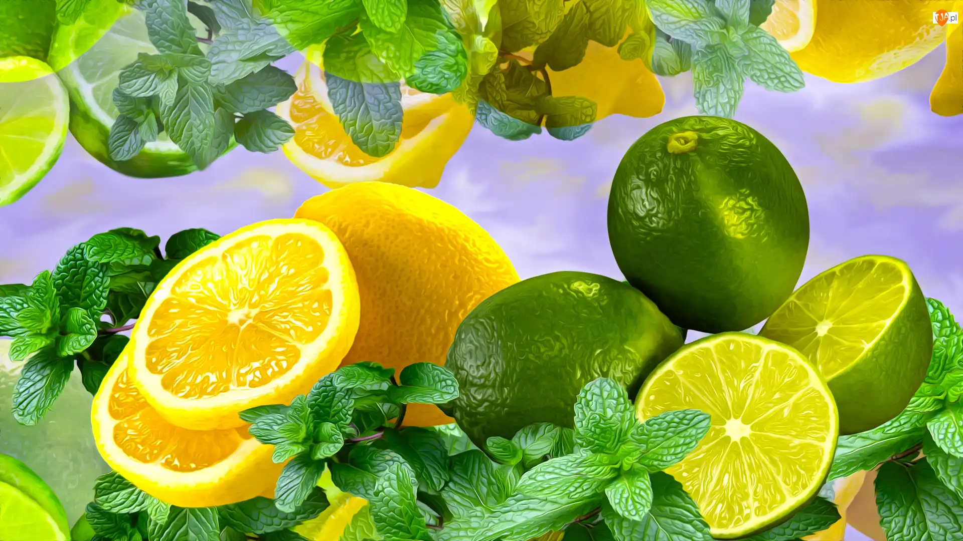 Grafika, Cytryny, Limonki, Mięta