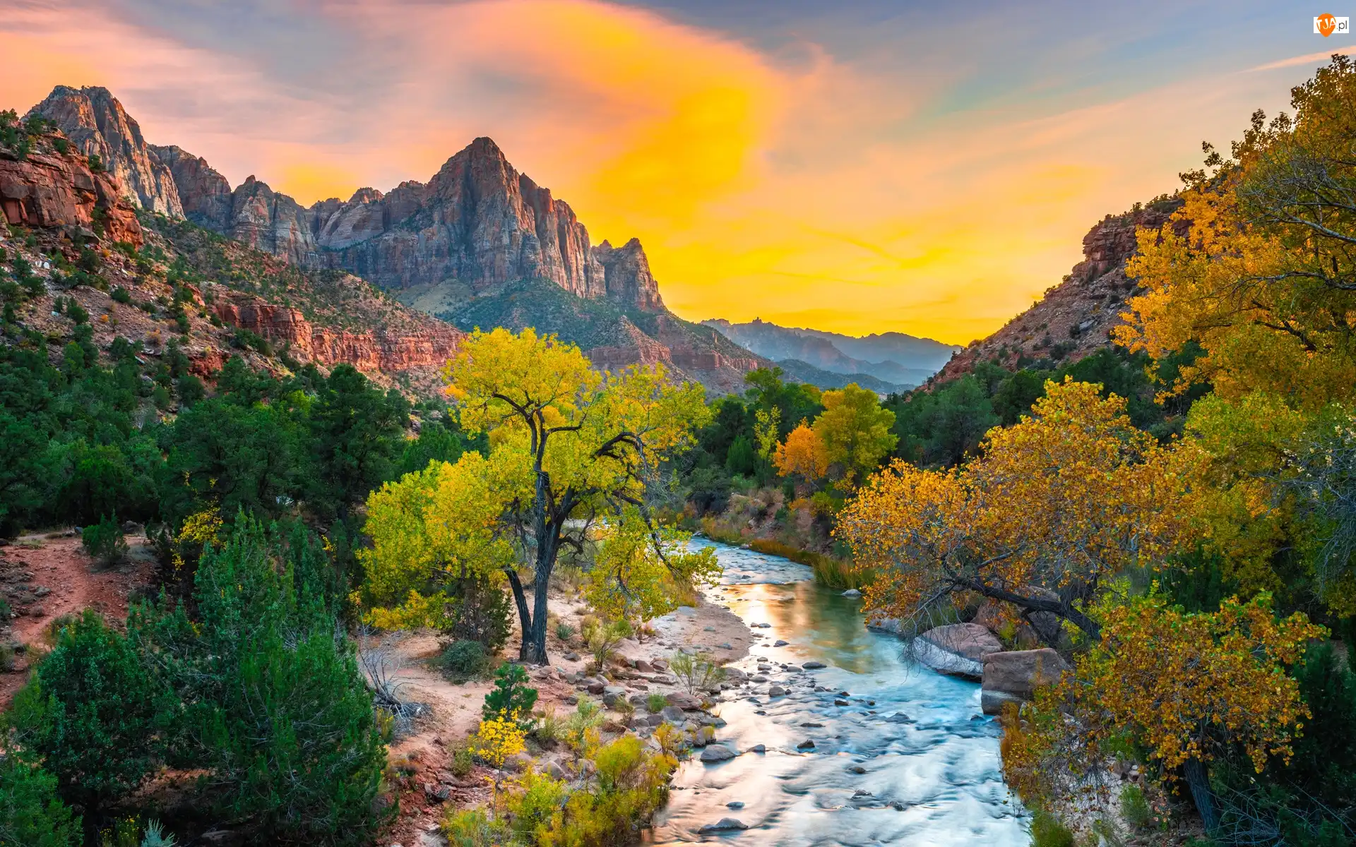 Kamienie, Stany Zjednoczone, Góry Watchman, Drzewa, Stan Utah, Rzeka Virgin River, Wschód słońca, Park Narodowy Zion