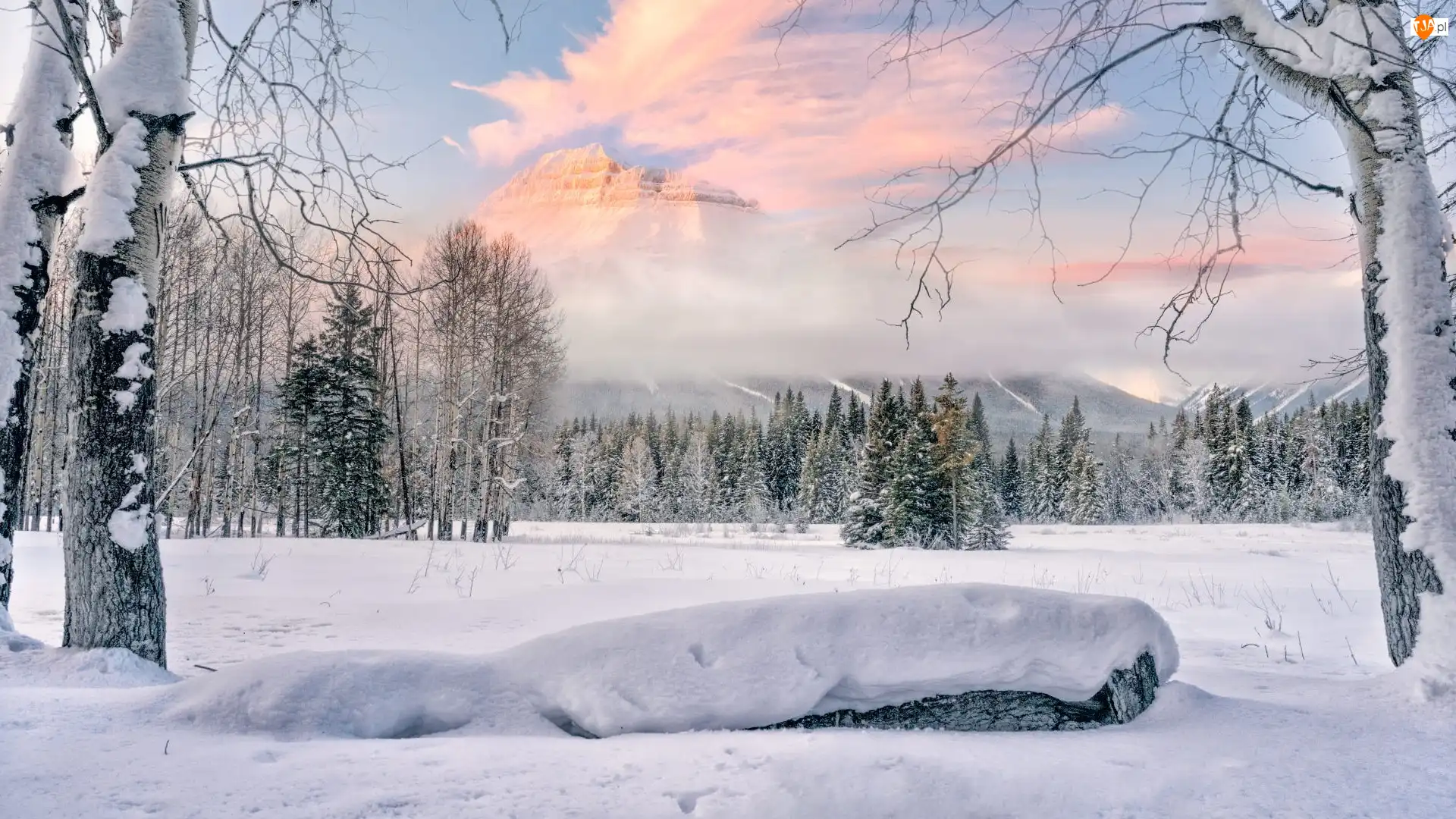 Zima, Mgła, Mgła, Góra, Alberta, Drzewa, Góry, Kanada, Pilot Mountain, Park Narodowy Banff, Chmury