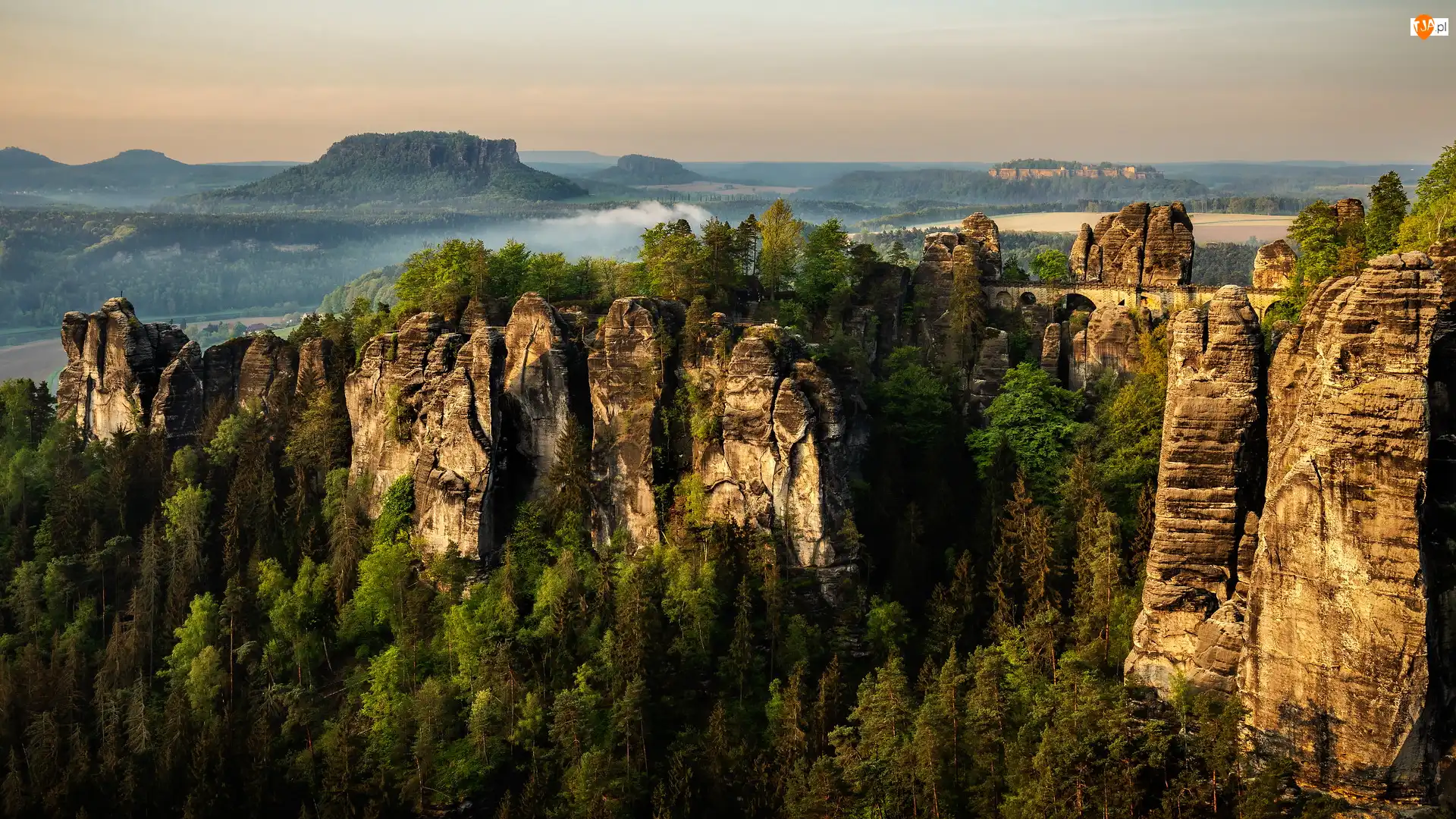 Skały, Park Narodowy Saskiej Szwajcarii, Drzewa, Niemcy, Bastei, Góry Połabskie