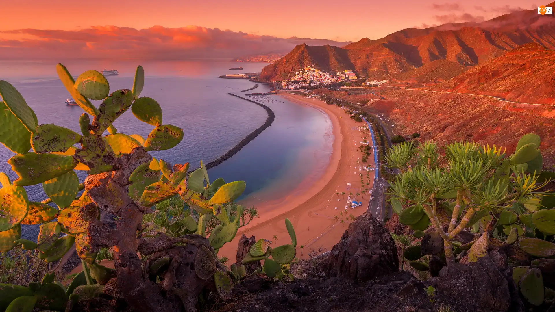 Playa de Las Teresitas, Góry, Hiszpania, Plaża, Teneryfa, Wyspy Kanaryjskie, Kaktusy