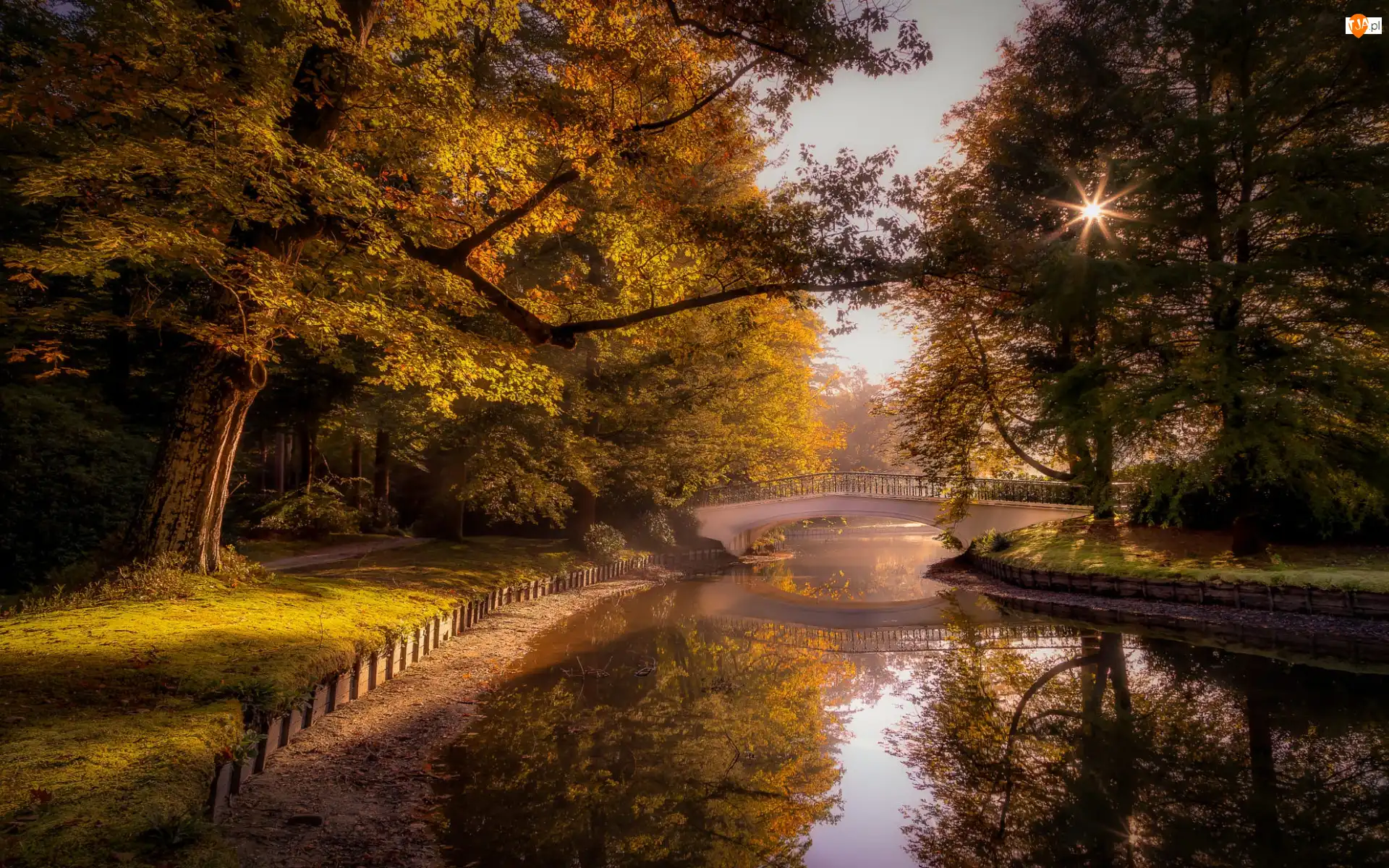 Staw, Most, Jesień, Park, Promienie słońca, Odbicie, Drzewa
