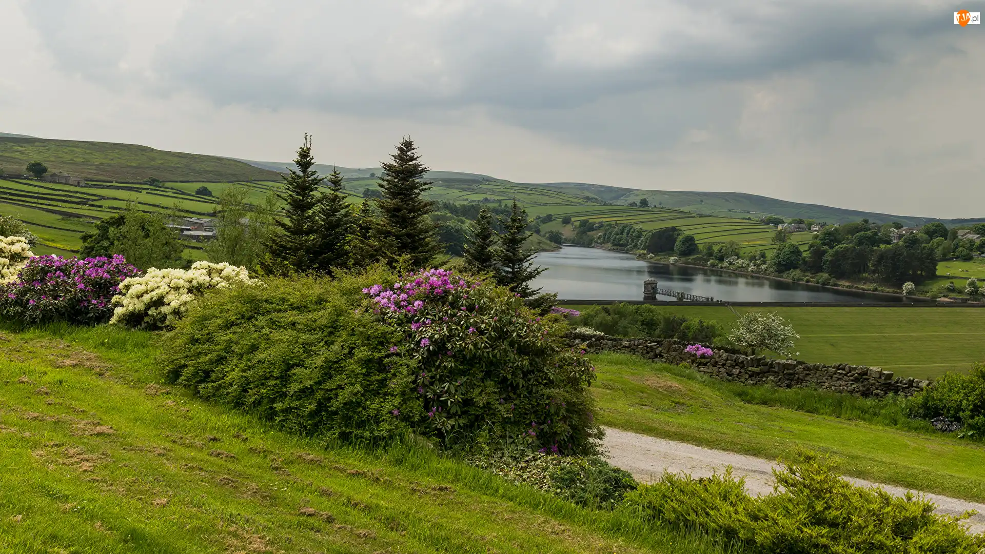 Drzewa, Rzeka, Wzgórza, Pola, Krzewy
