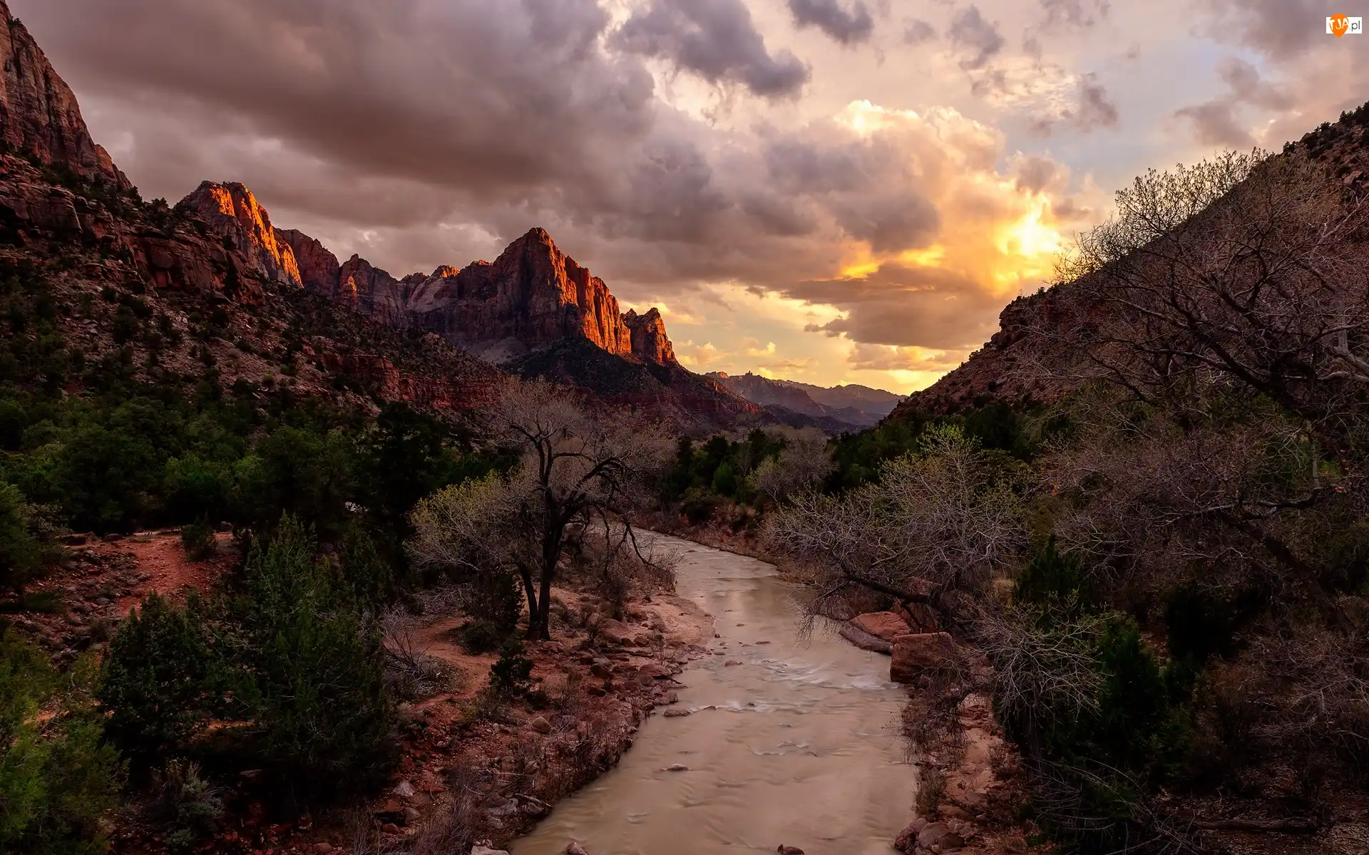Kamienie, Góra Watchman, Zachód słońca, Rzeka Virgin River, Utah, Chmury, Drzewa, Park Narodowy Zion, Skały, Rzeka, Stany Zjednoczone