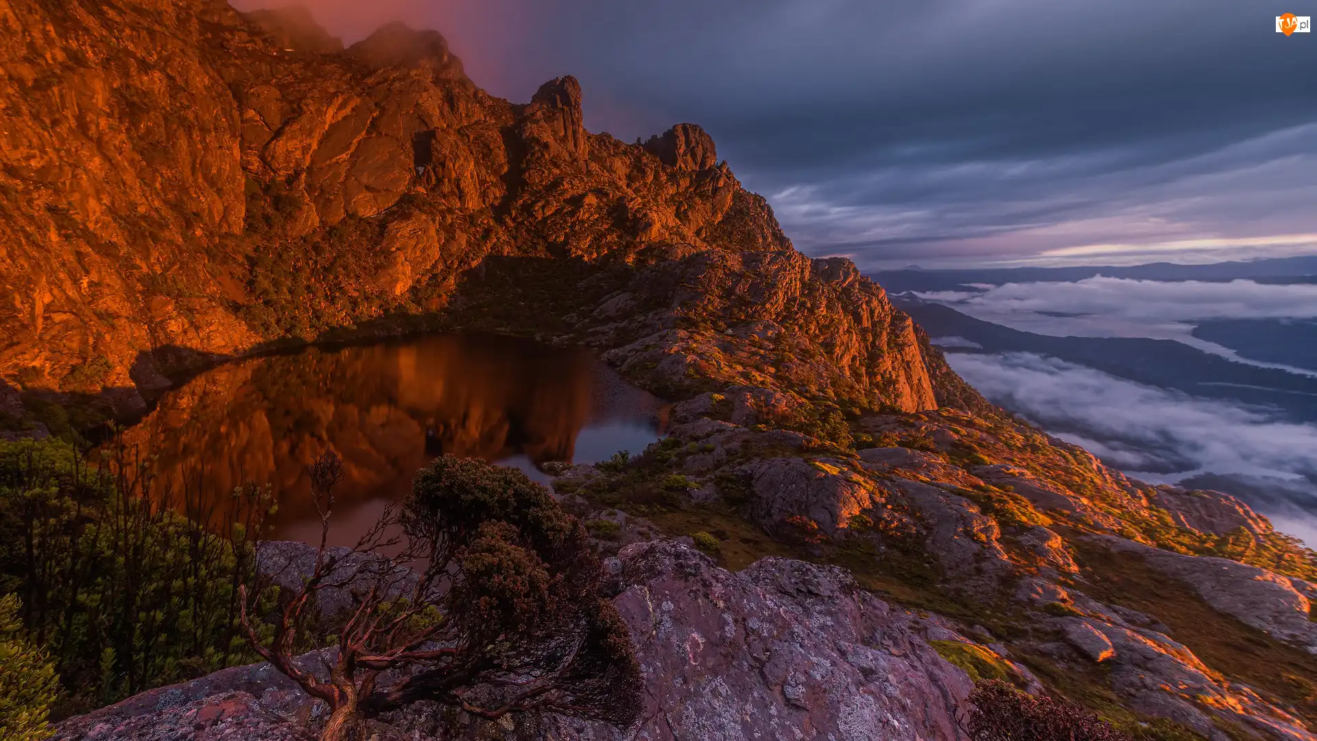 Jezioro, Drzewo, Australia, Skały, Tasmania, Góry, Sosna