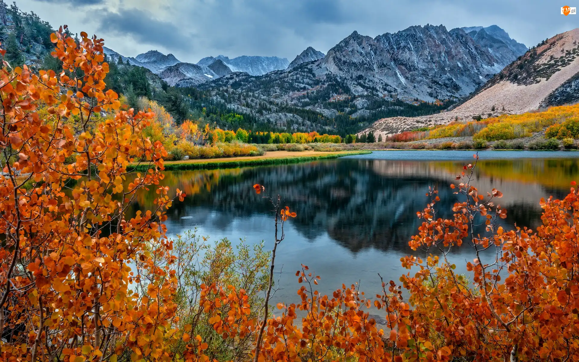 Jesień, Liście, Gałęzie, Drzewa, Kalifornia, Stany Zjednoczone, Góry, Sierra Nevada Mountains, Jezioro, Chmury