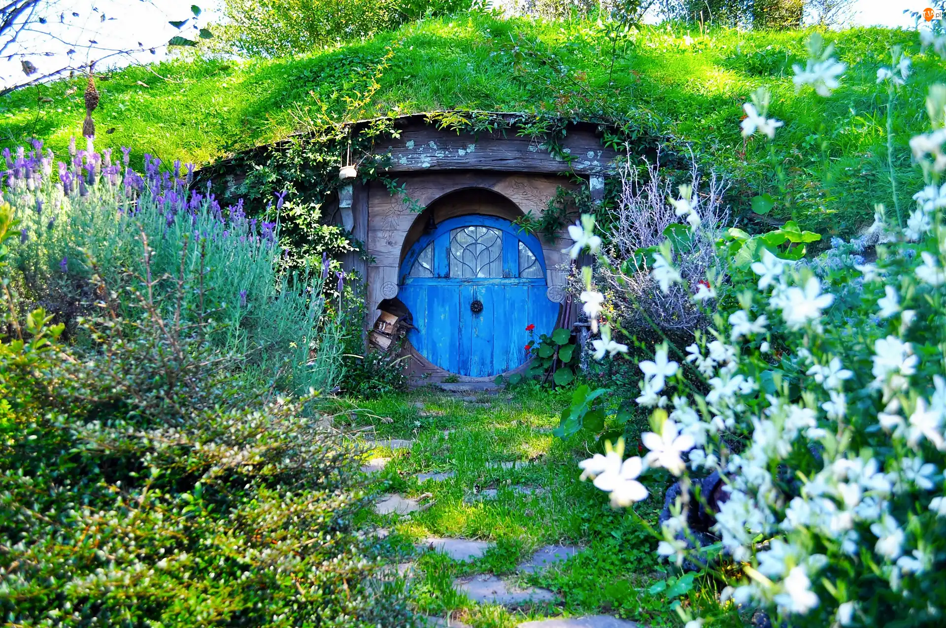 Rozmycie, Domek, Hobbita, Ogródek