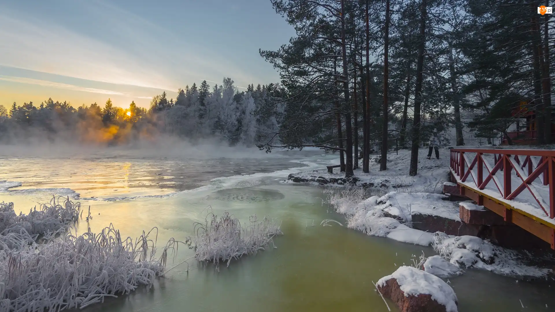 Finlandia, Las, Kotka, Mgła, Wschód słońca, Drzewa, Rzeka Langinkoski, Zima, Mostek