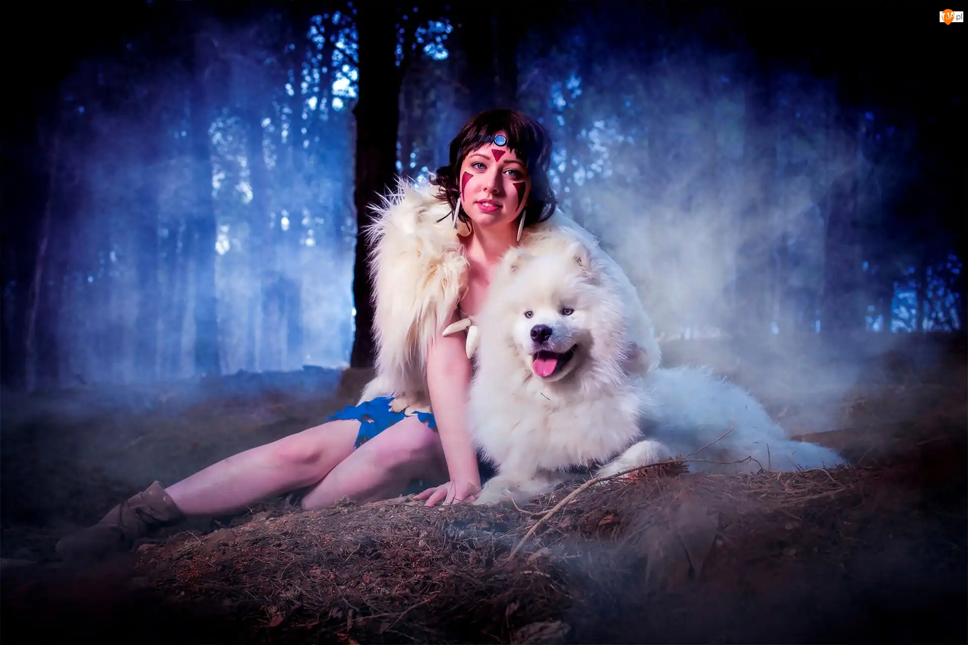 Las, Kobieta, Pies, Samojed