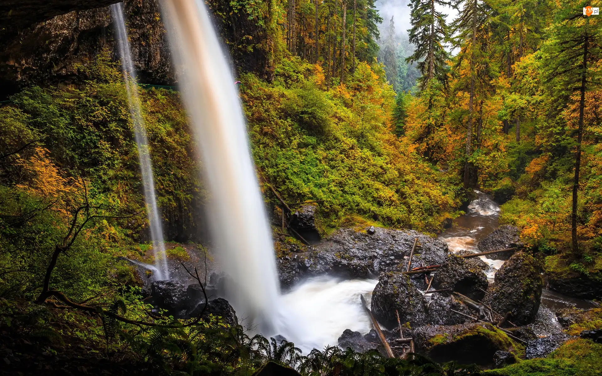 Stany Zjednoczone, Las, Stan Oregon, Roślinność, Skały, Drzewa, Rzeka, Wodospad North Falls, Strumień