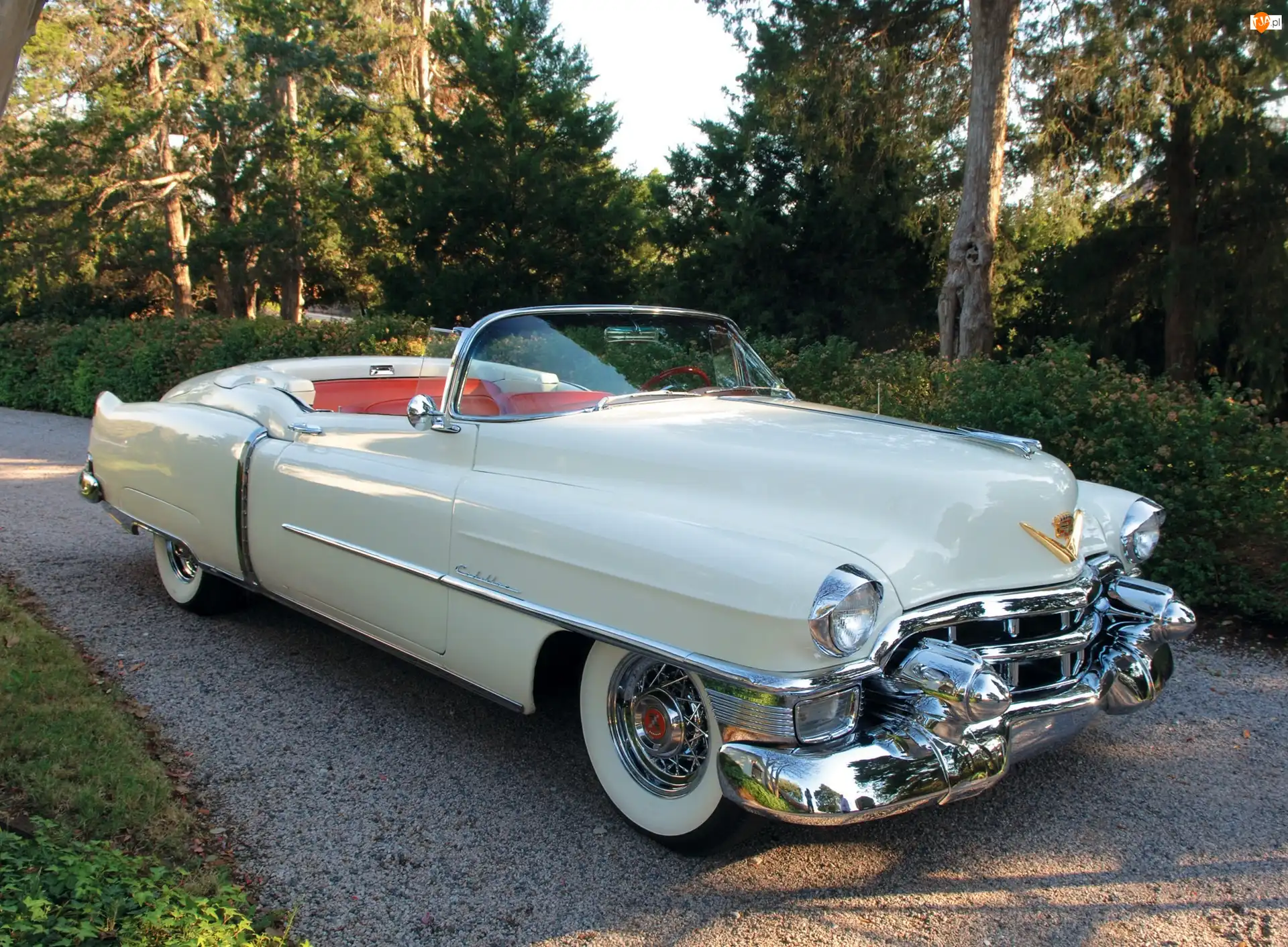 Cadillac Eldorado, Samochód Zabytkowy, Biały, Kabriolet