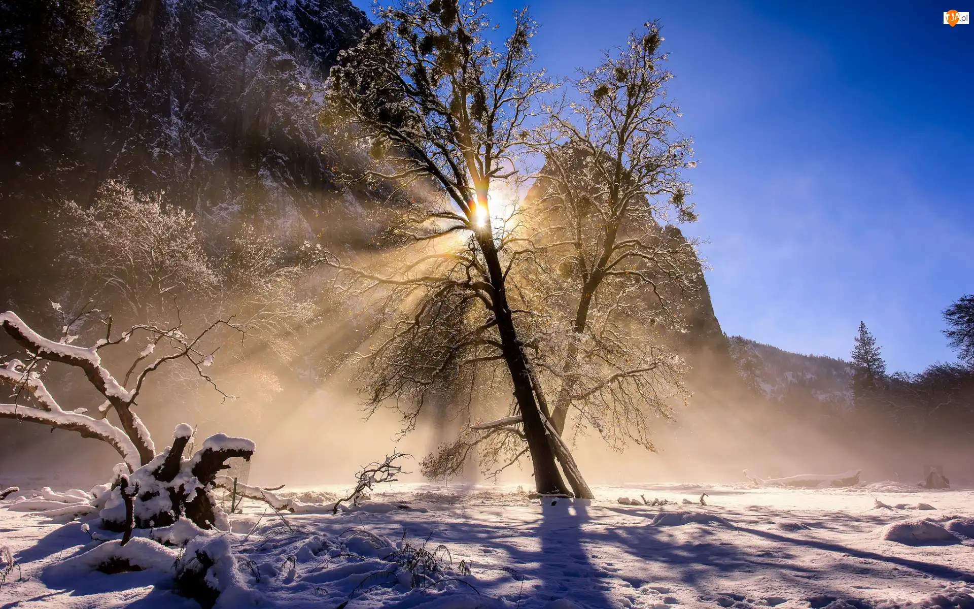 Stany Zjednoczone, Śnieg, Kalifornia, Słońce, Park Narodowy Yosemite, Góry, Drzewo, Zima, Przebijające światło