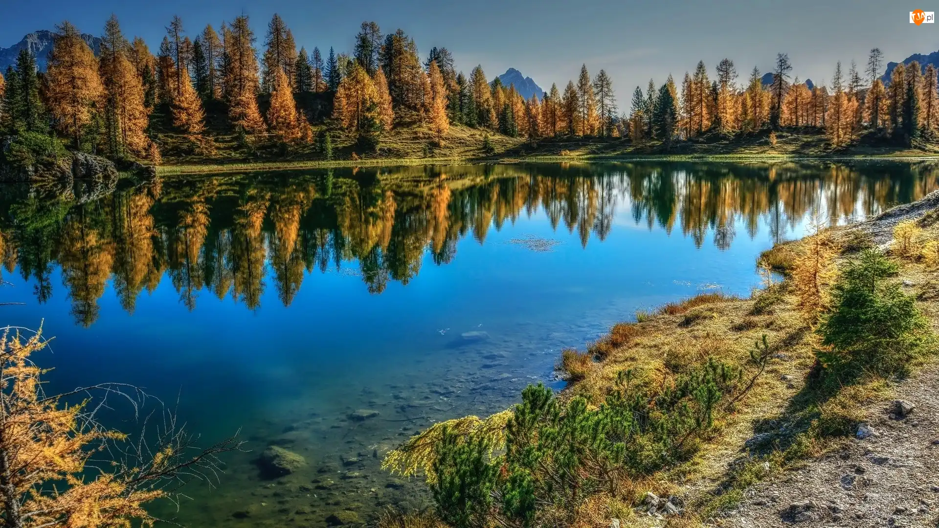 Żółte, Jezioro, Jesień, Modrzewie, Lago Federa, Drzewa, Włochy, Góry