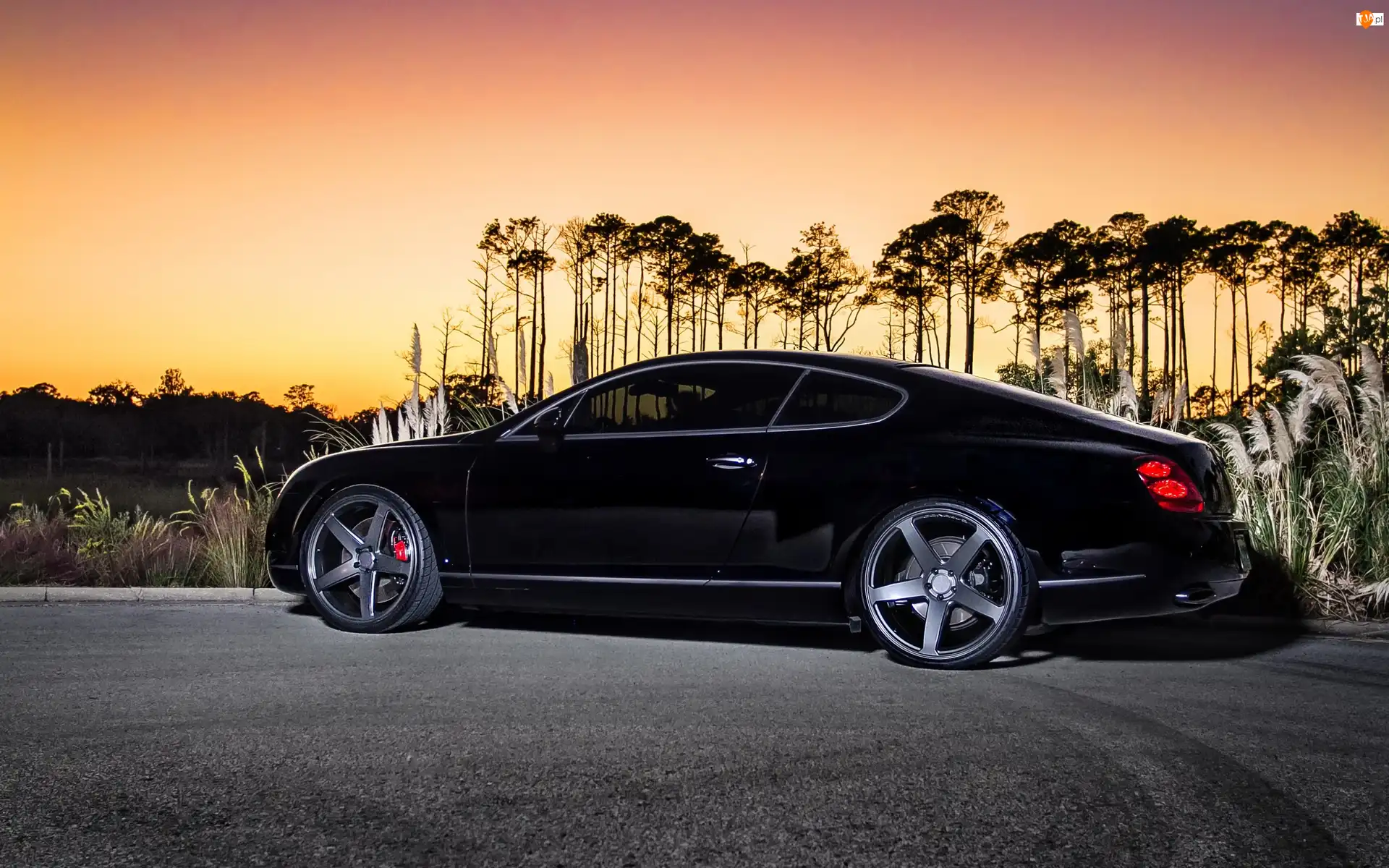 GT, Czarny, Bentley, Continental
