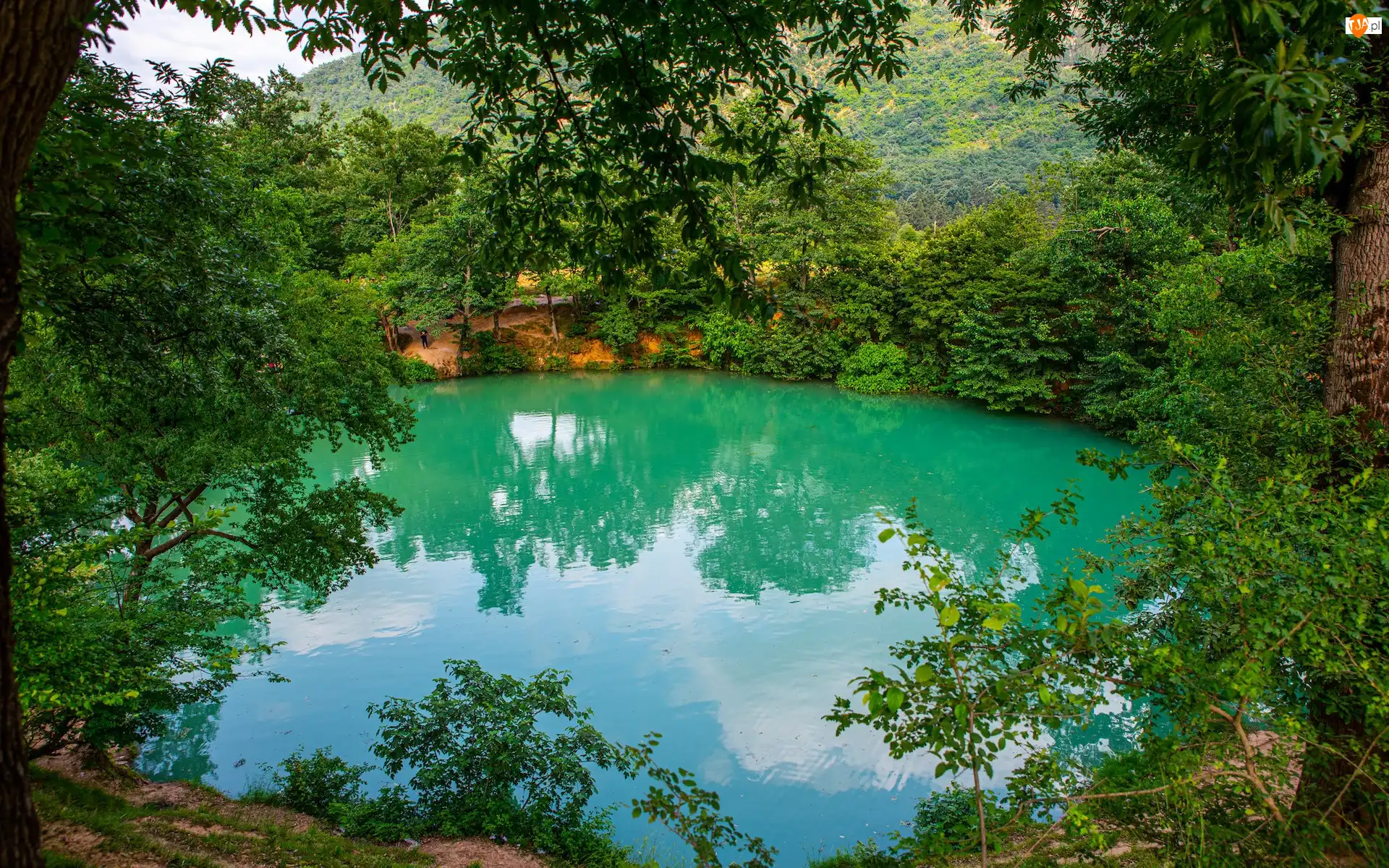 Prowincja Golestan, Iran, Gol e Ramian, Krzewy, Jezioro, Drzewa
